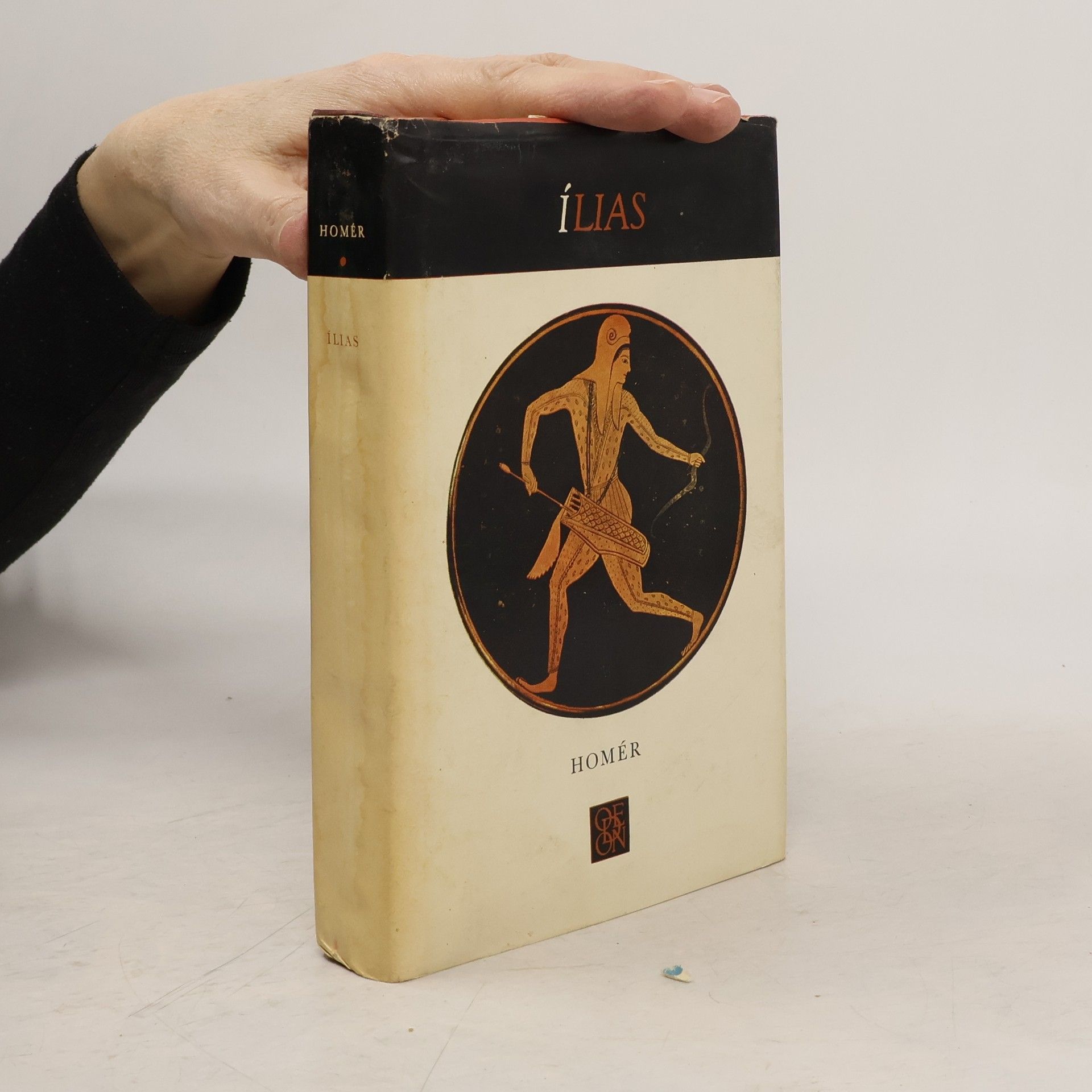 Homère Ílias