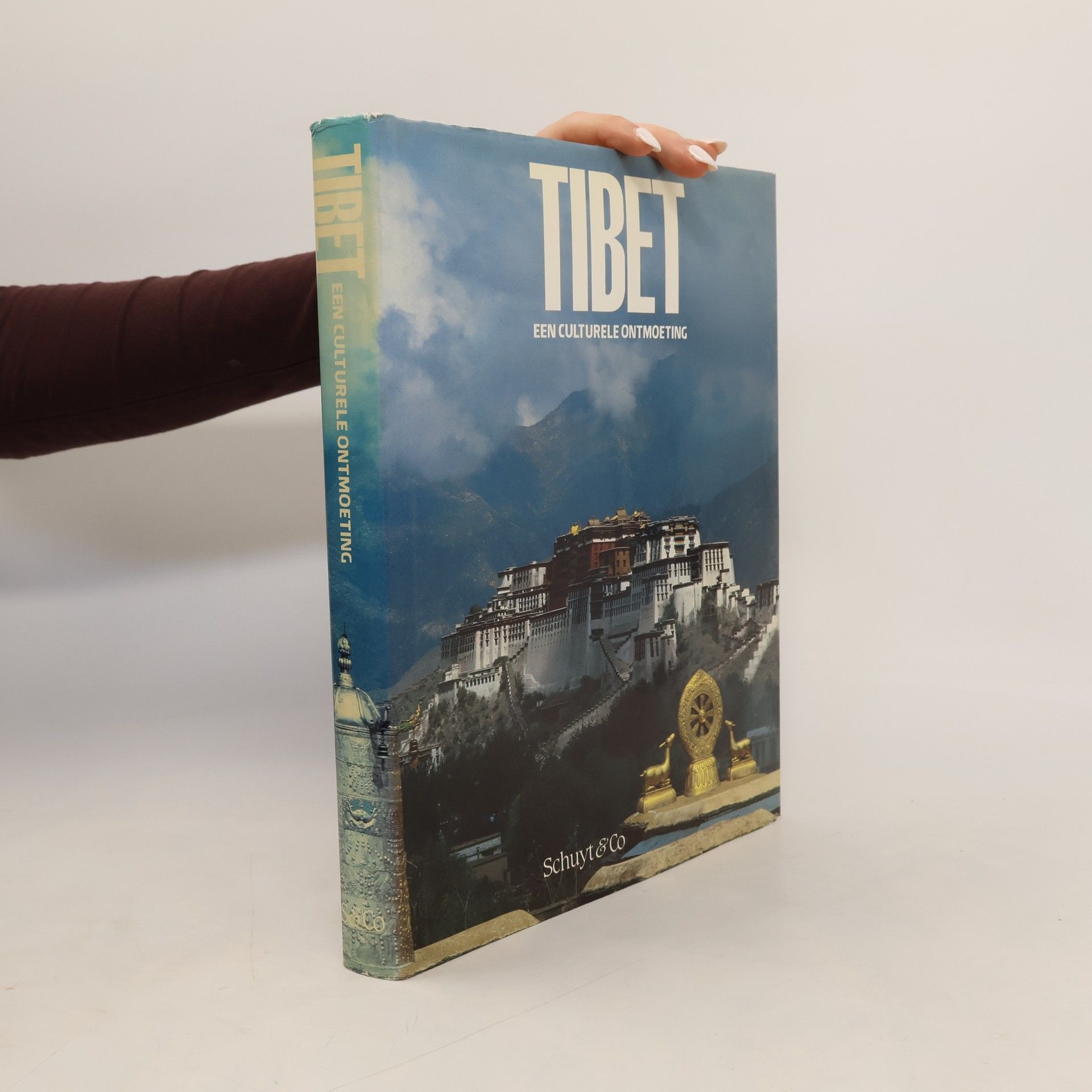 Ngag-dbang-vjigs-med Tibet