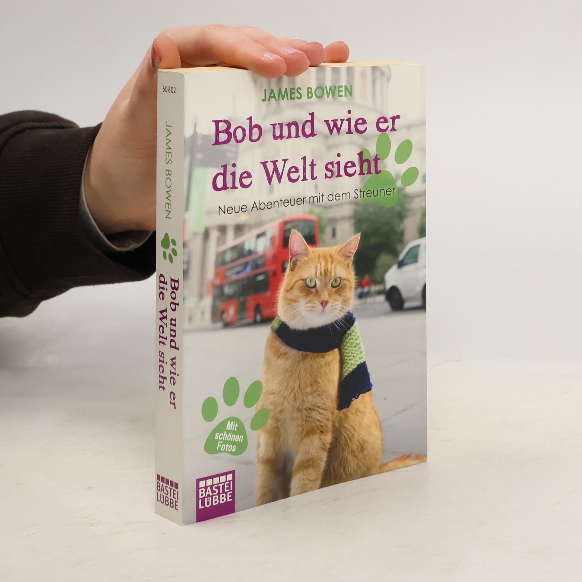 James Bowen Bob und wie er die Welt sieht