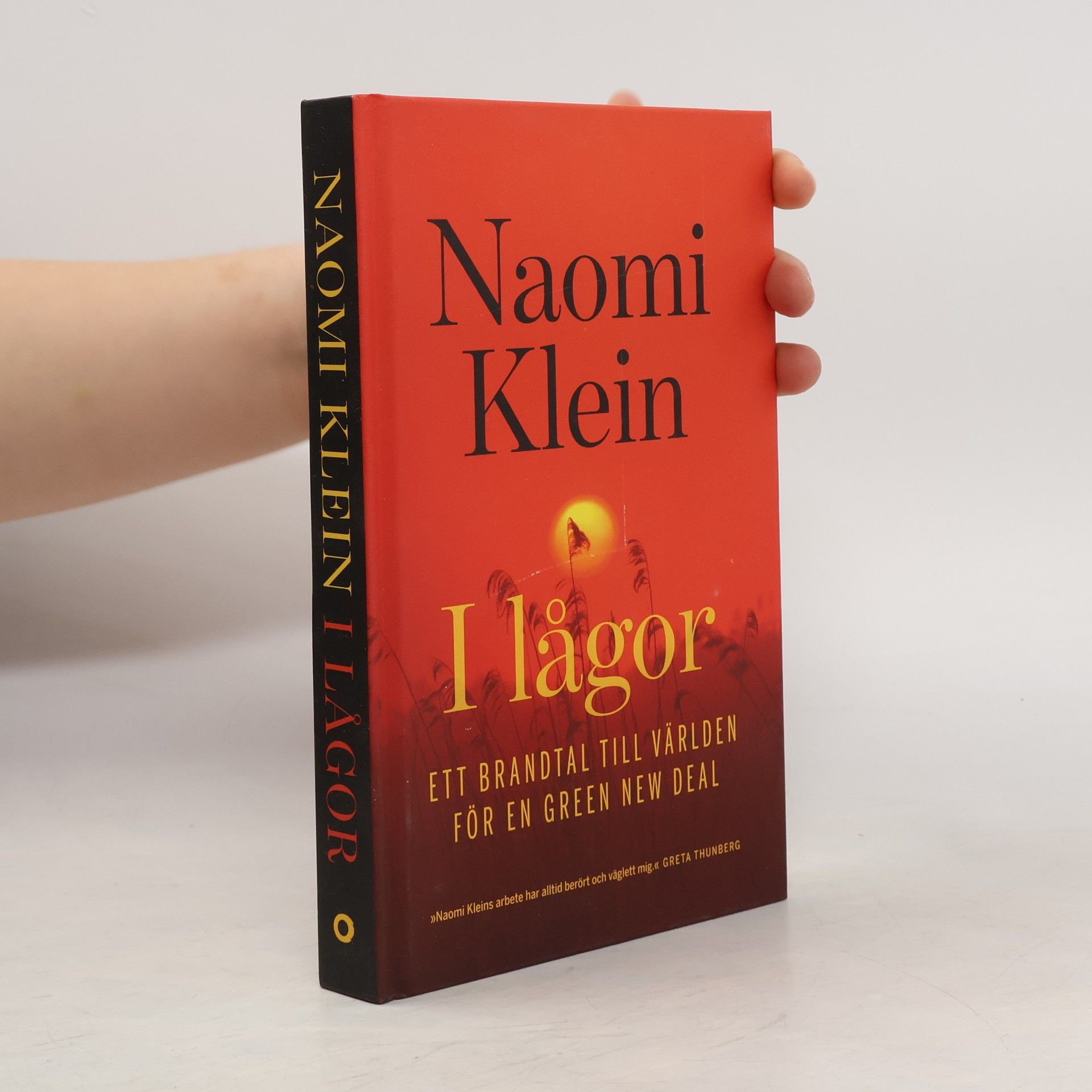 Naomi Klein I lågor