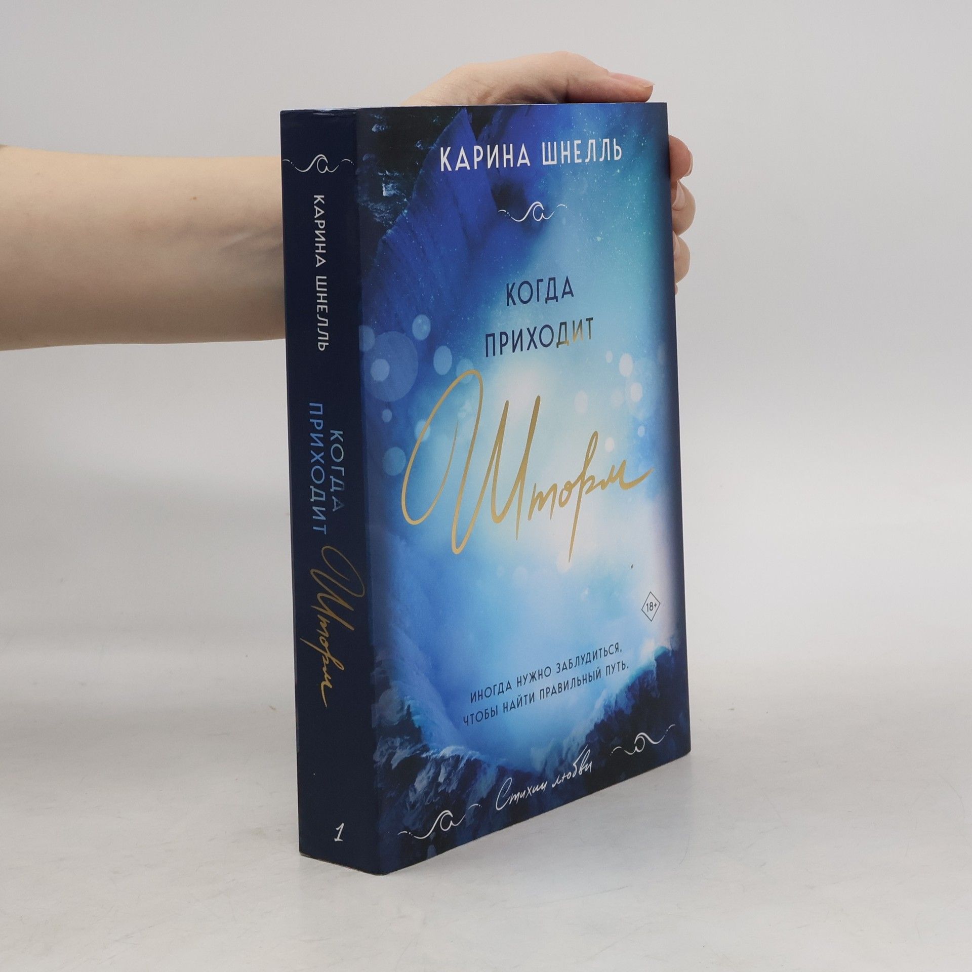 Karina Schnell Когда приходит шторм