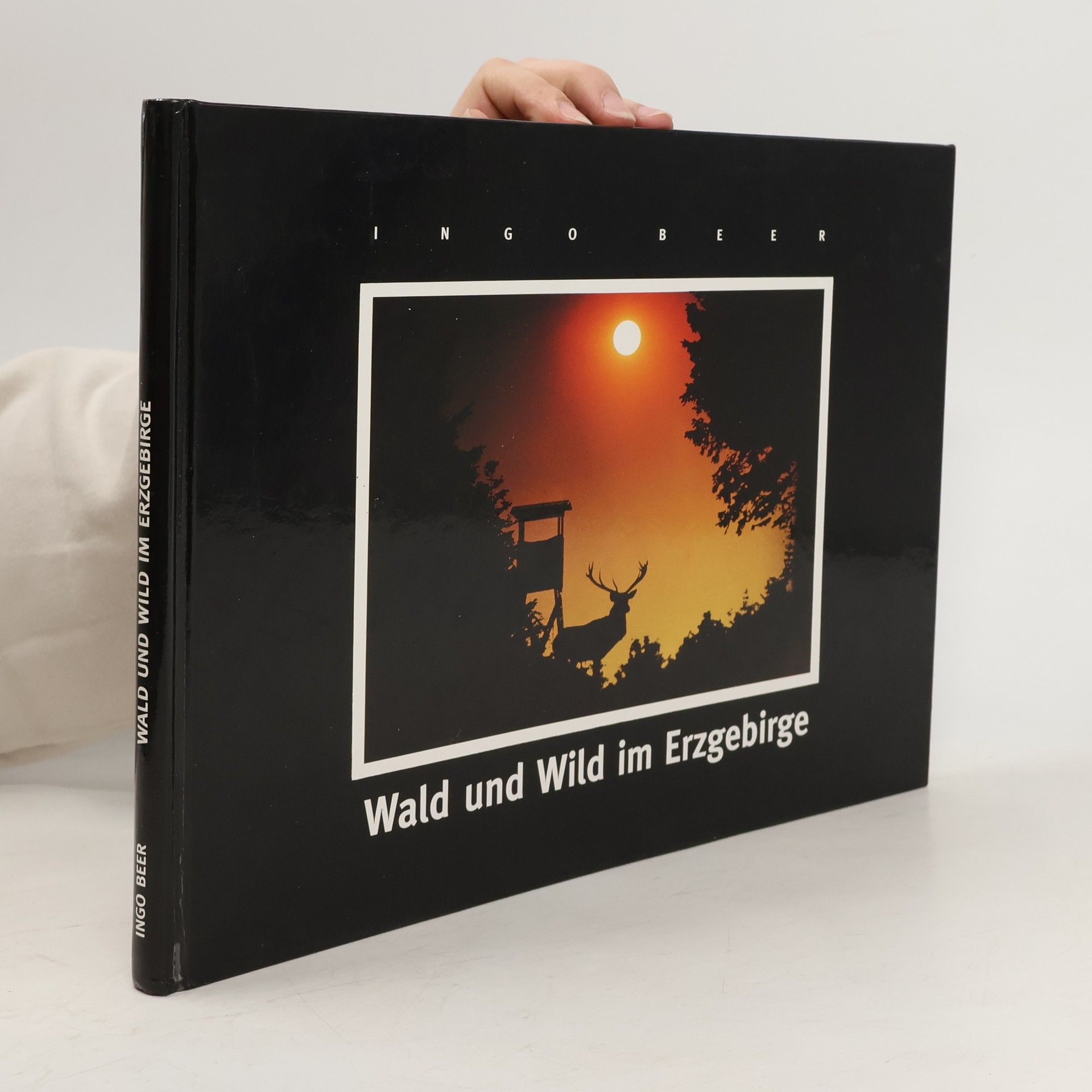 Wald und Wild im Erzgebirge