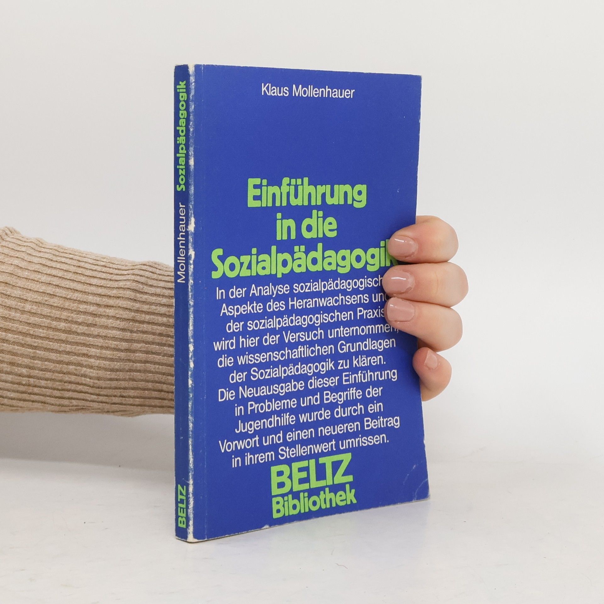 Einführung in die Sozialpädagogik