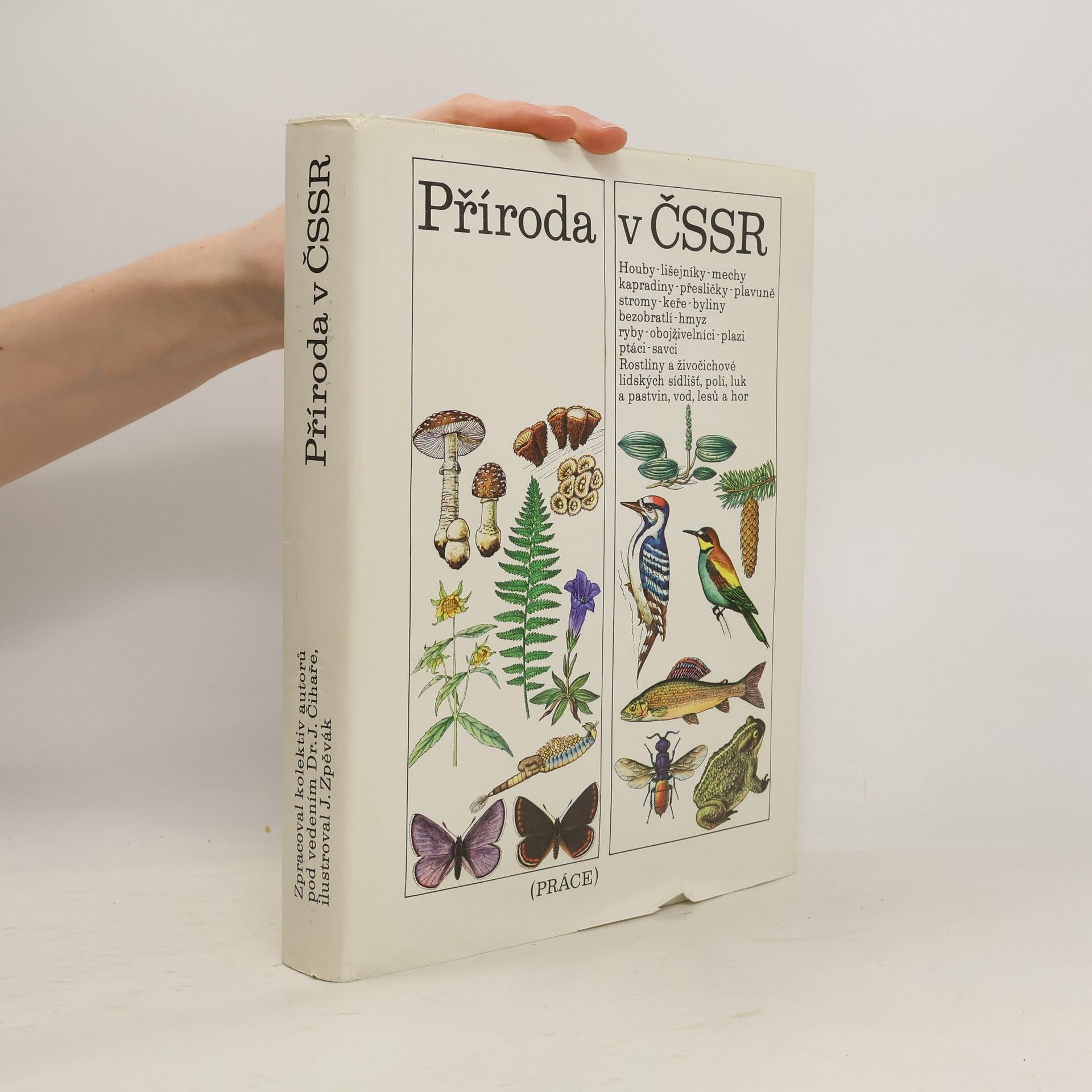 Kolektív autorov Příroda v ČSSR