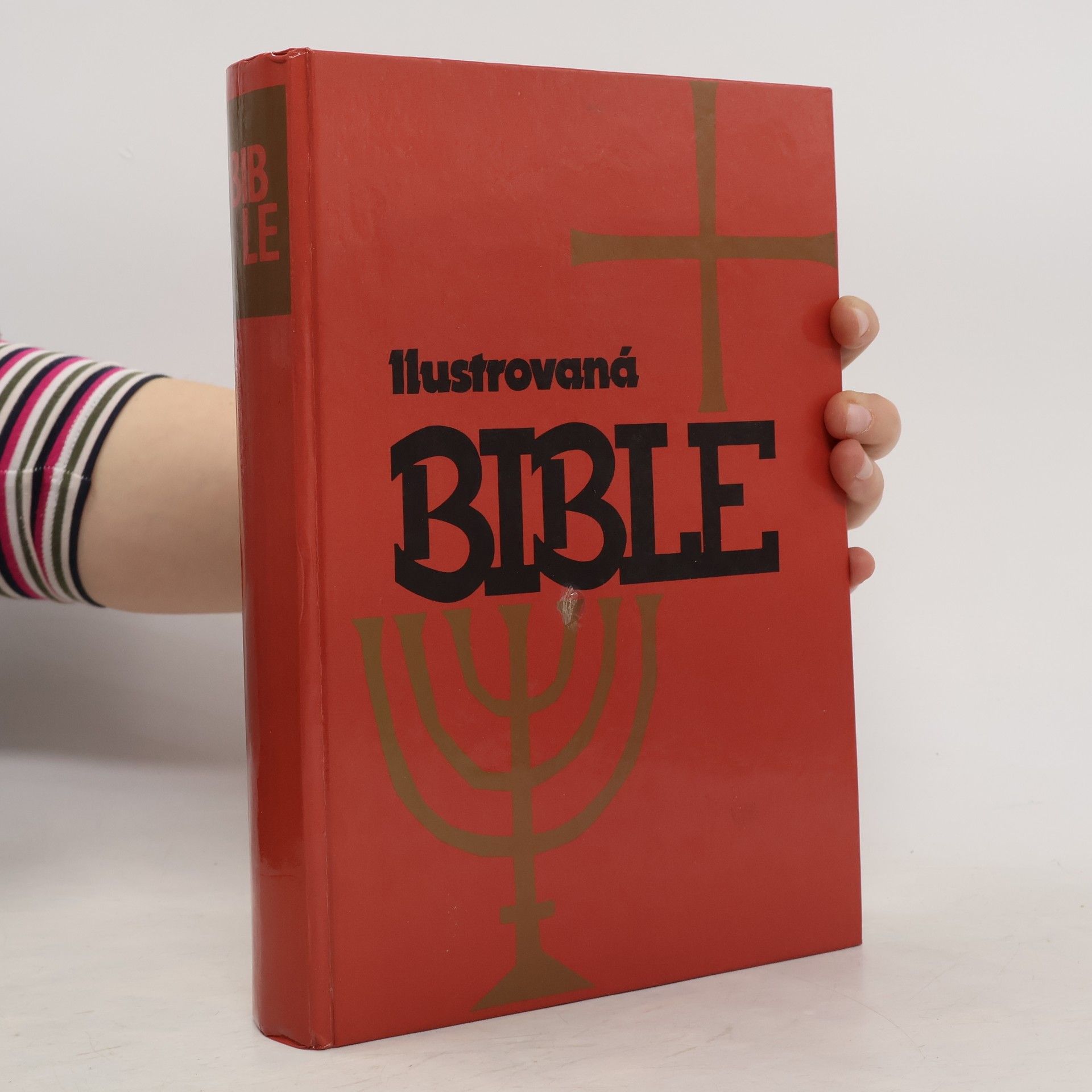 Samuel Terrien Ilustrovaná Bible pro mládež