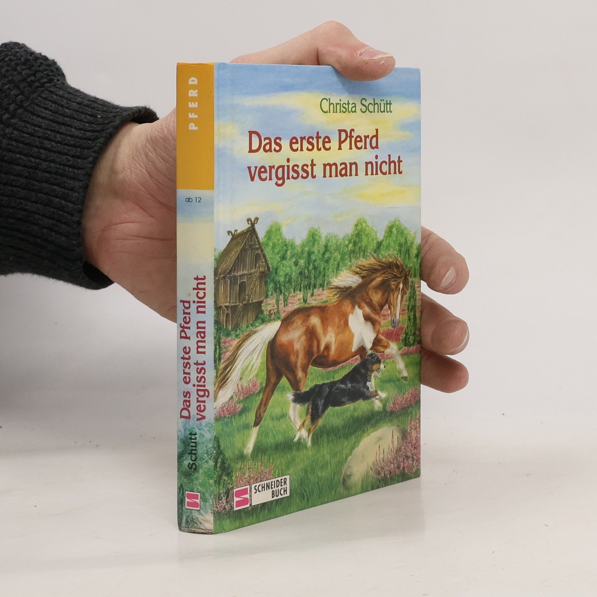 Christa Schütt Das erste Pferd vergisst man nicht