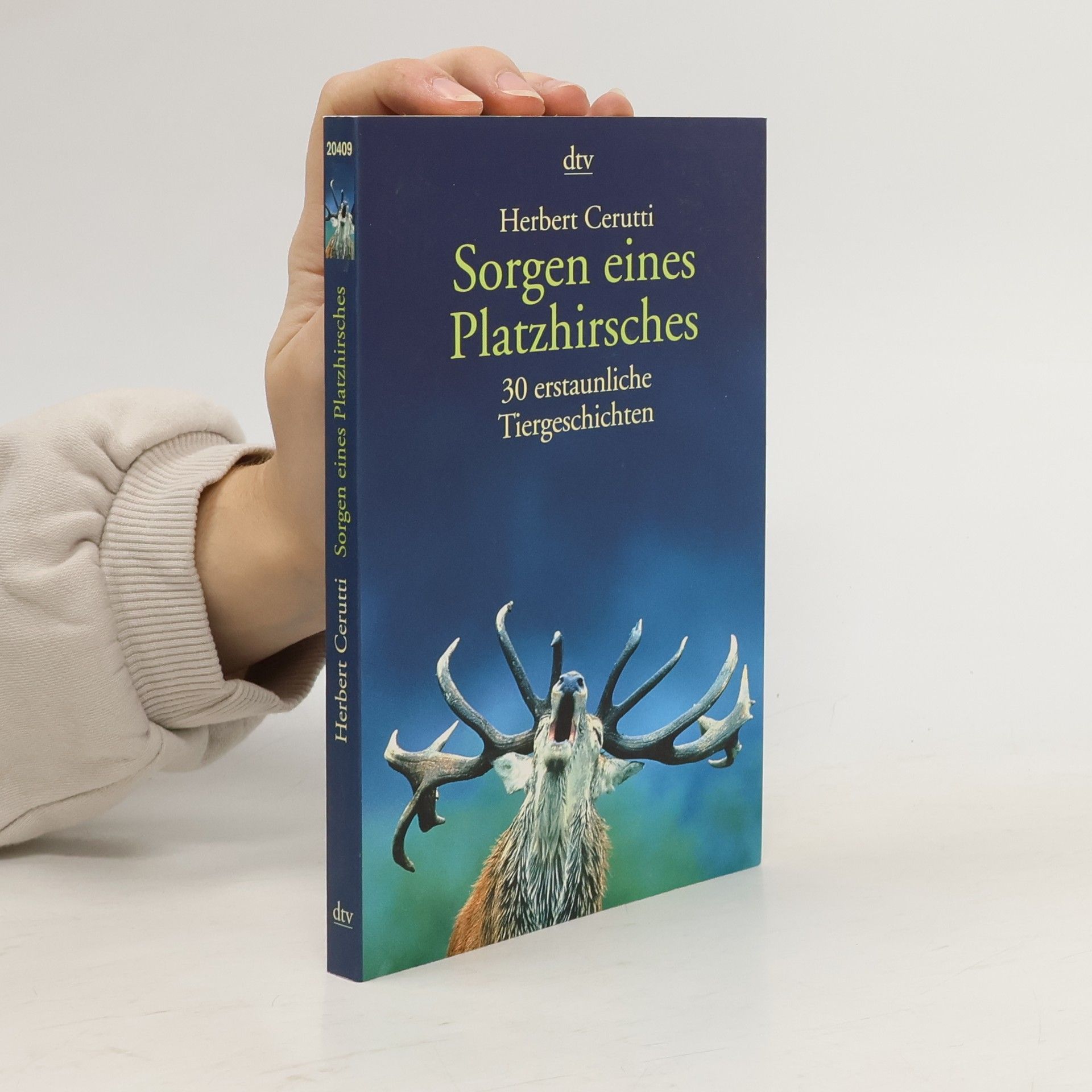 Sorgen eines Platzhirsches