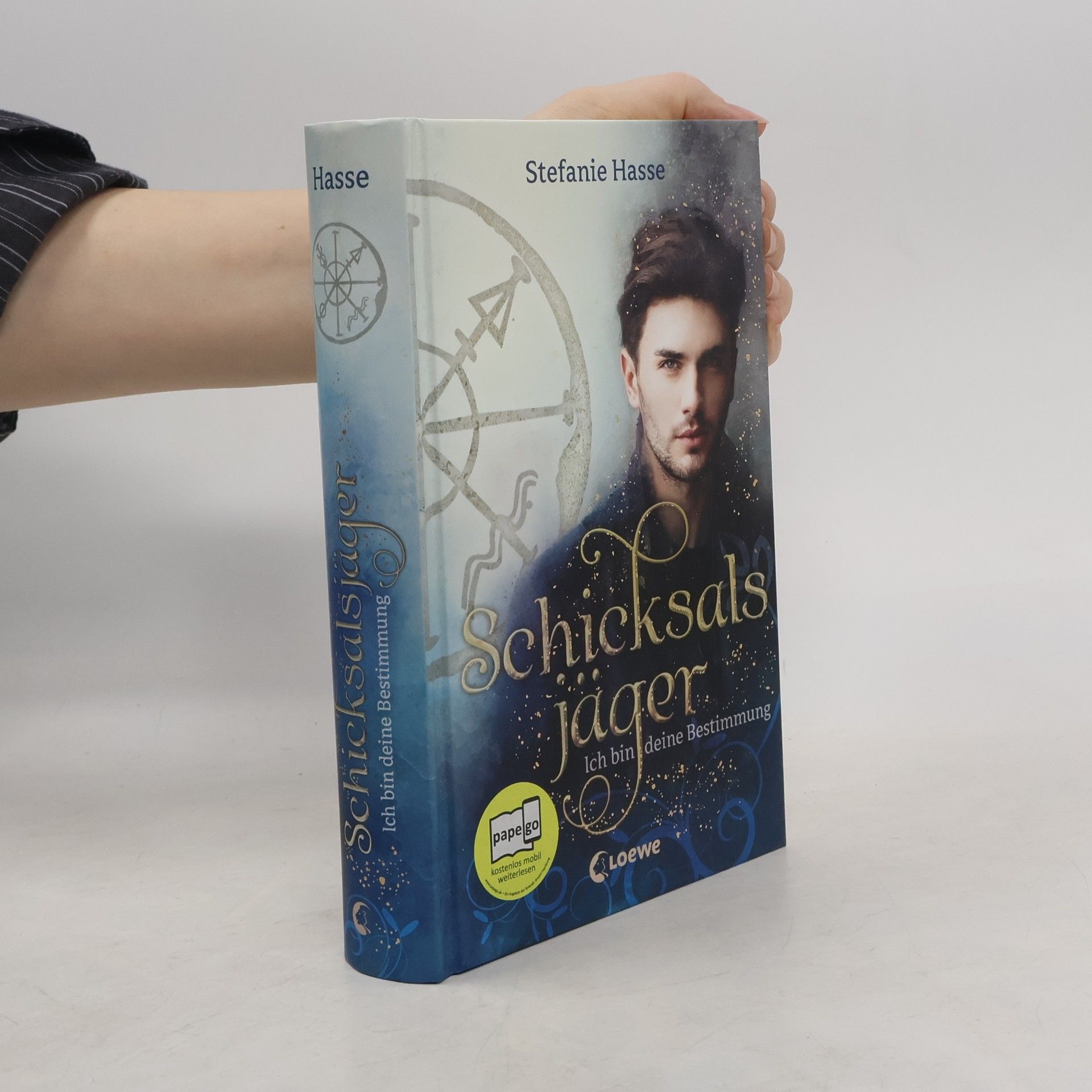Stefanie Hasse Schicksalsjäger - ich bin deine Bestimmung