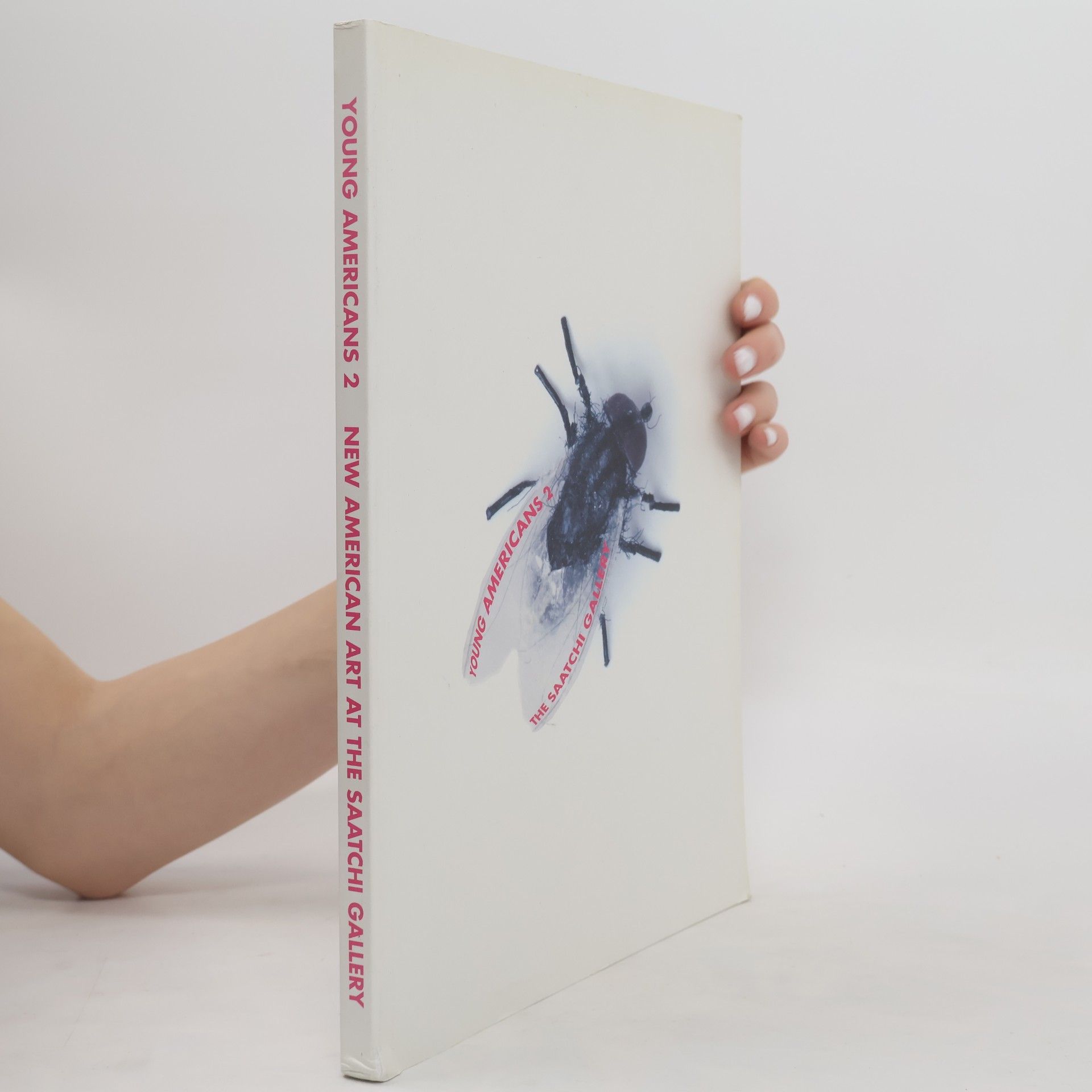 Brooke Adams Young Americans 2