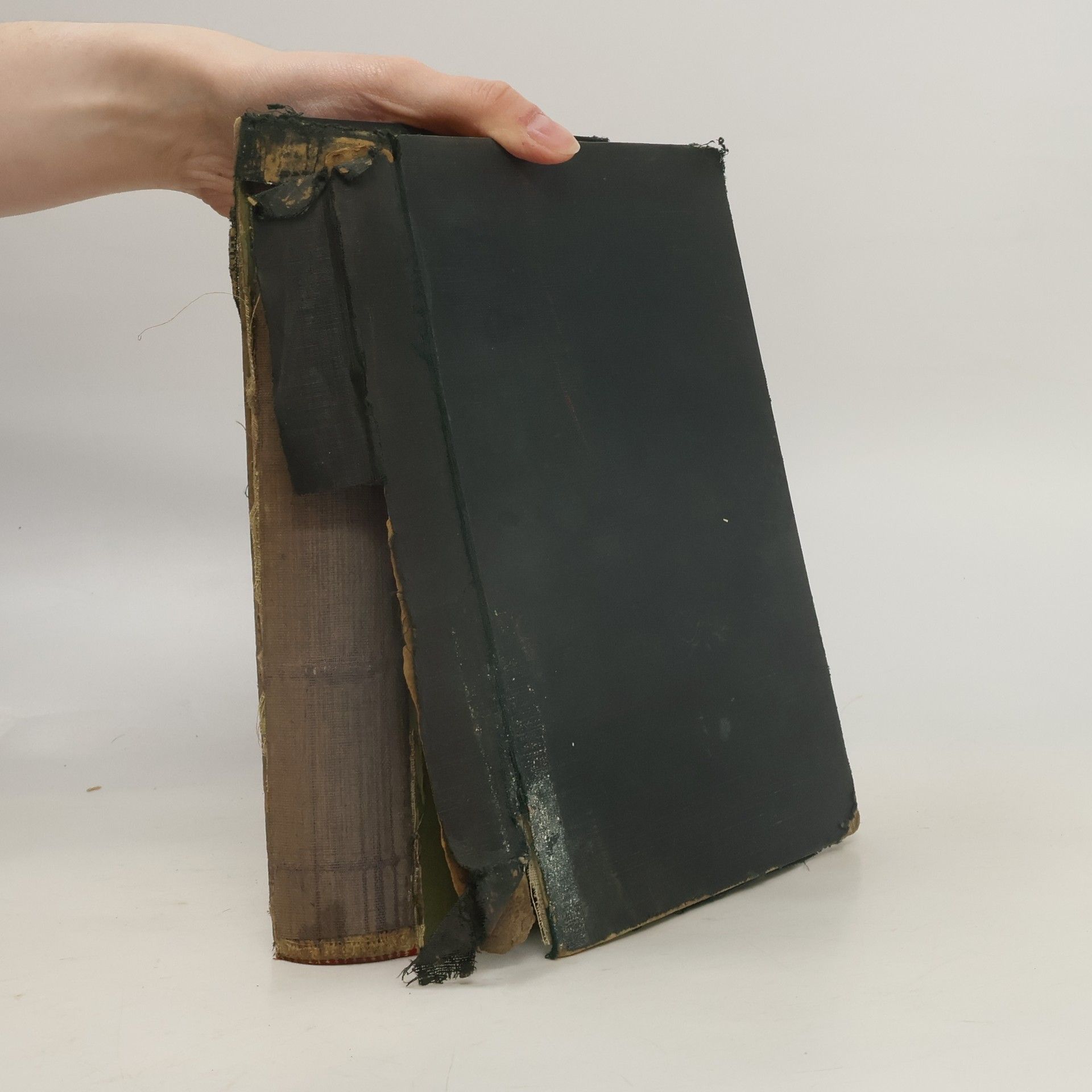 J. L. Turnovský Satan a Jidáš 1