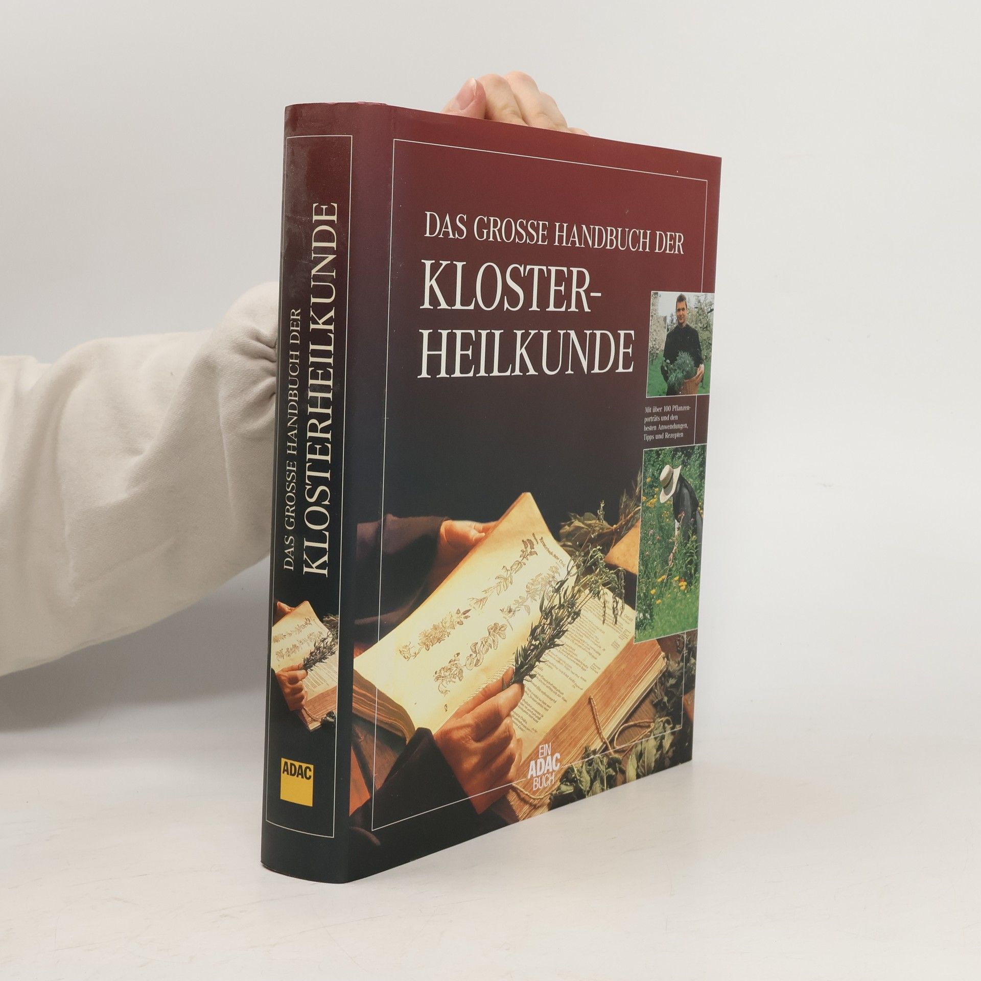 Autorenkollektiv Das grosse Handbuch der Klosterheilkunde