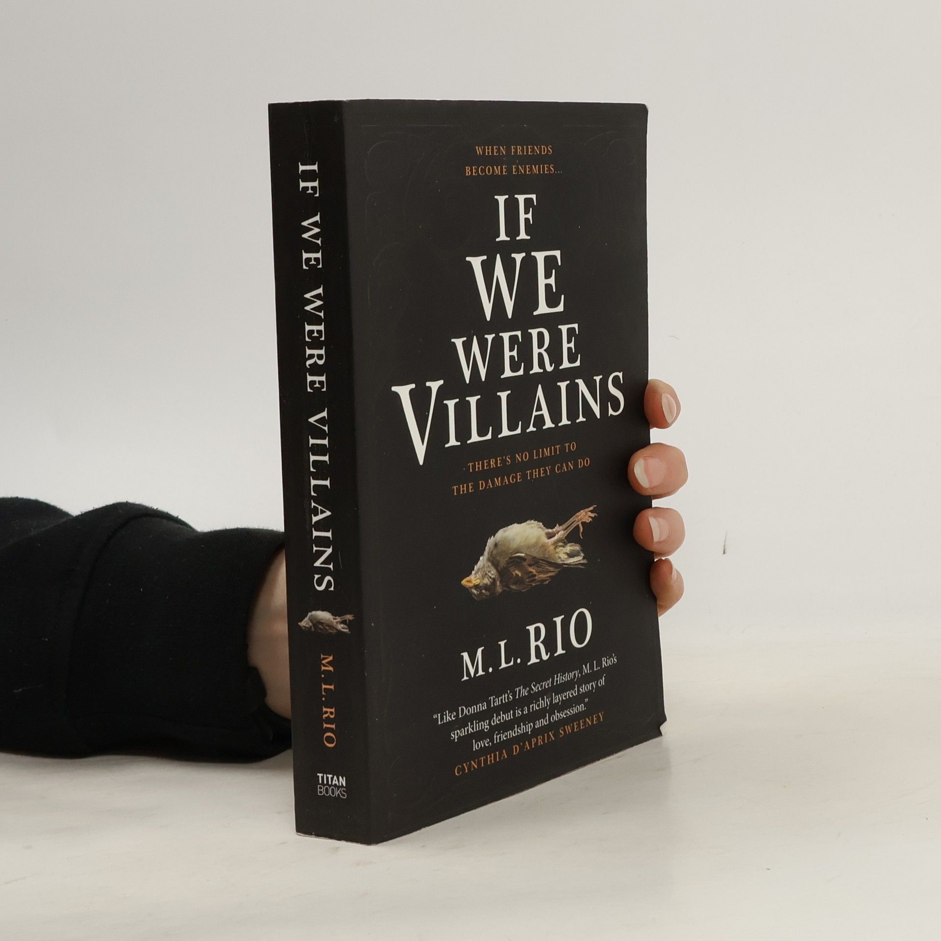 M. L. Rio If We Were Villains