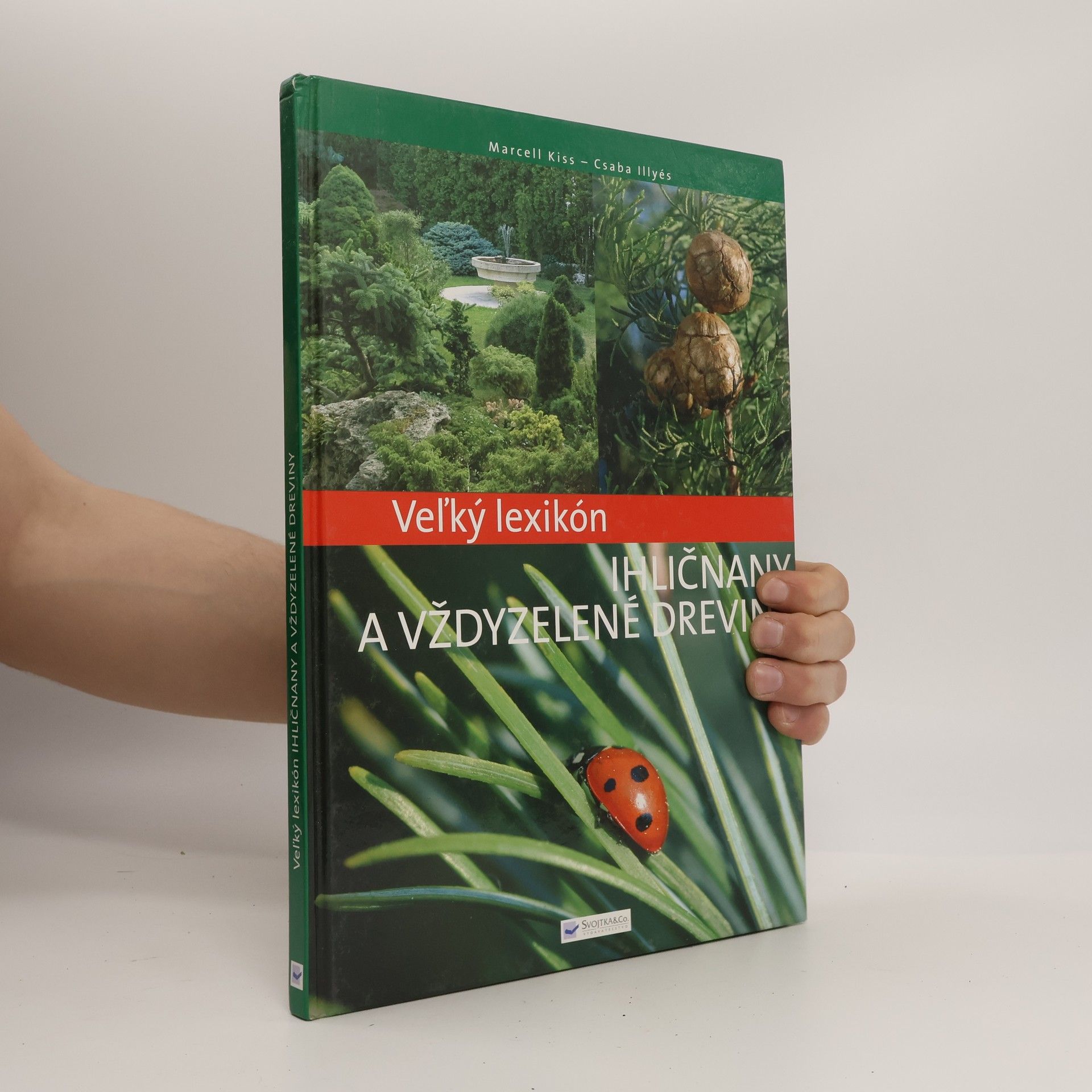 Veľký lexikón - Ihličnany a vždyzelené dreviny