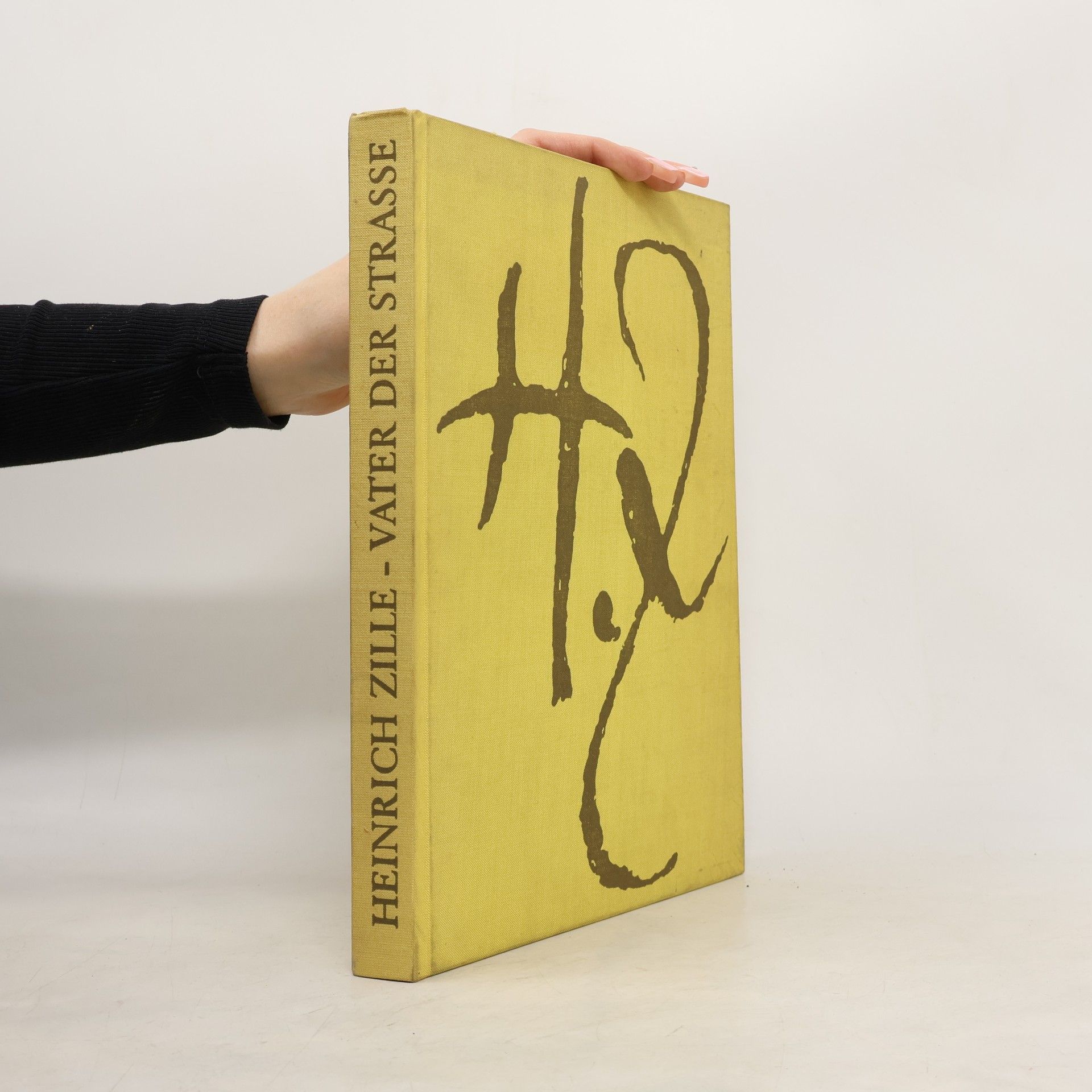 Heinrich Zille Vater der Strasse