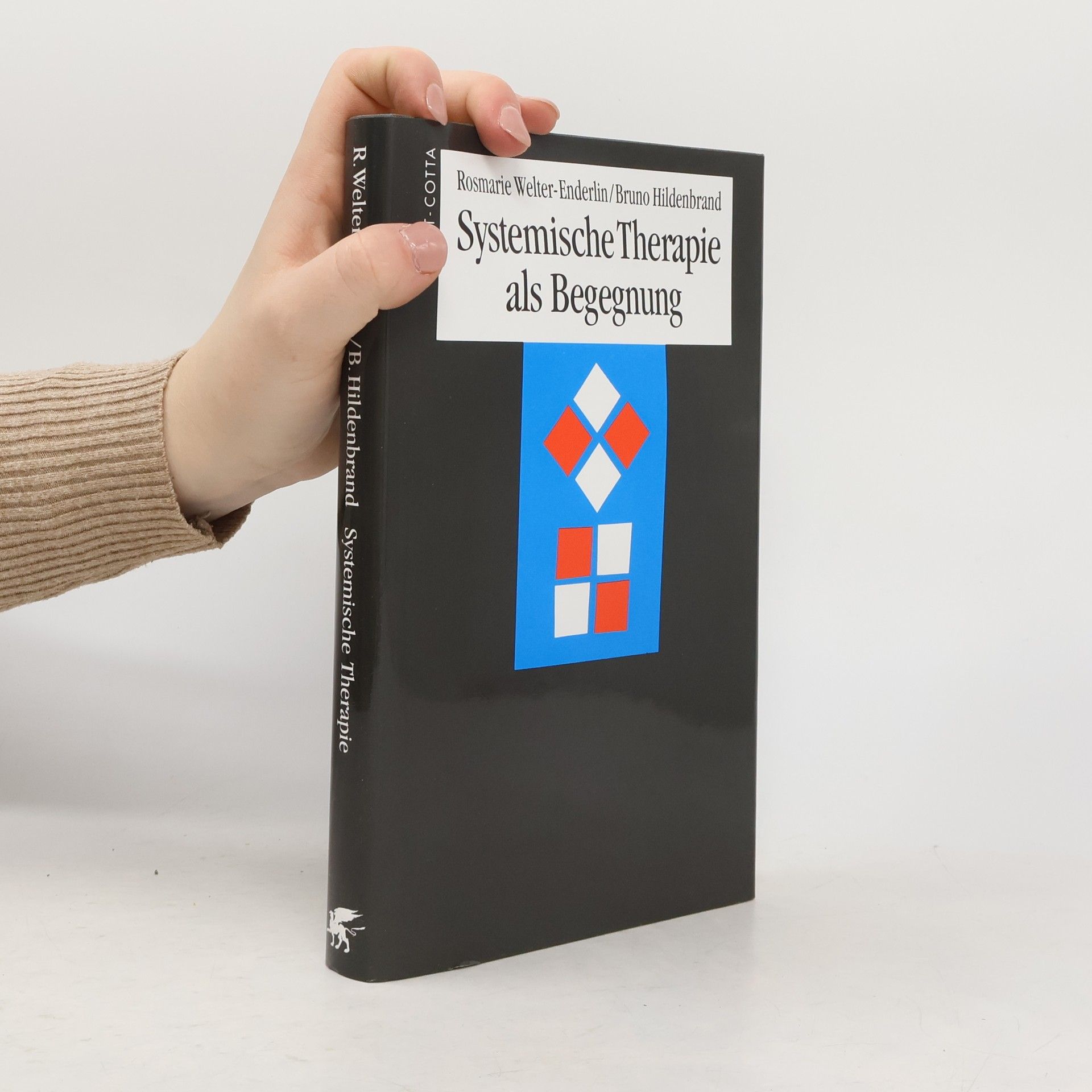 Bruno Hildenbrand Systemische Therapie als Begegnung