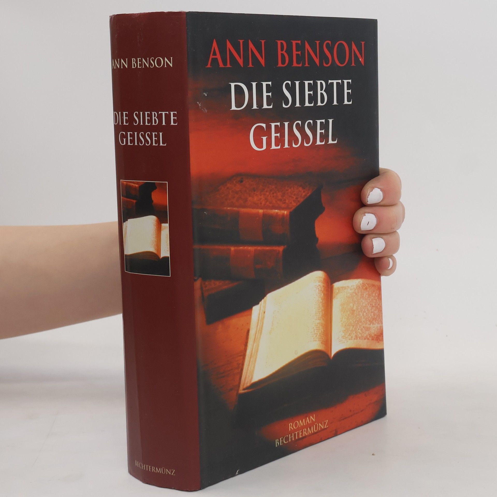 Ann Benson Die siebte Geissel