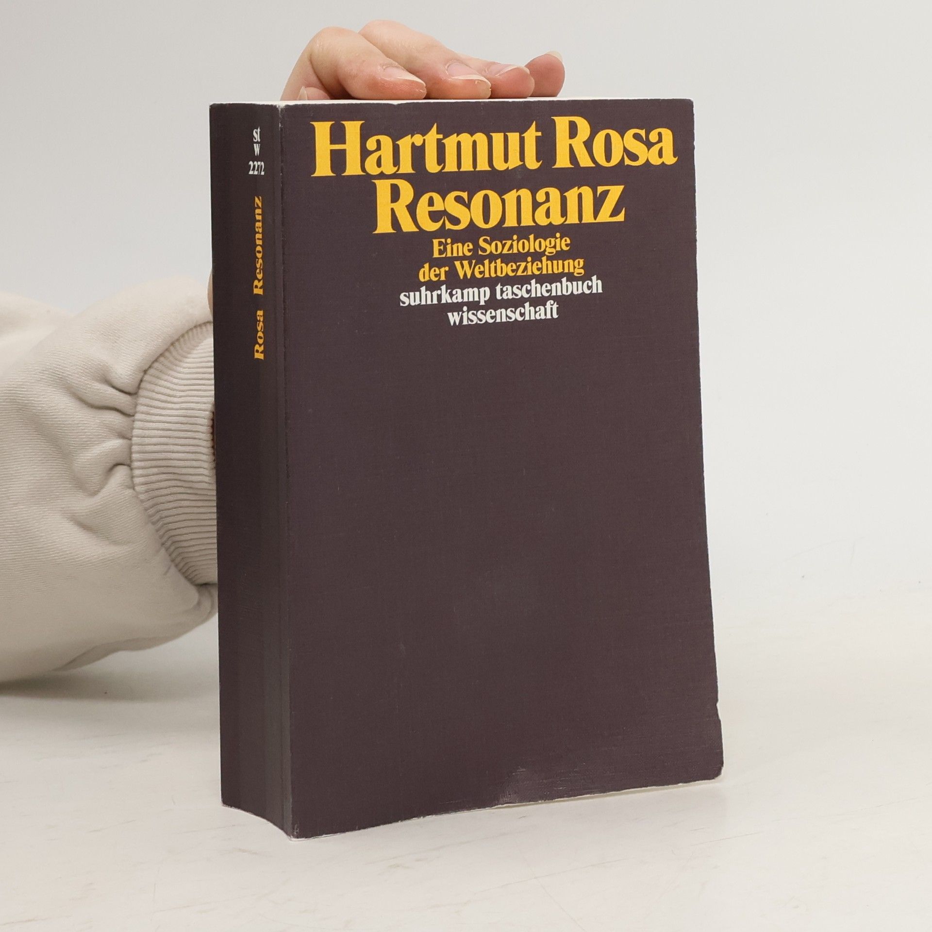 Hartmut Rosa Resonanz
