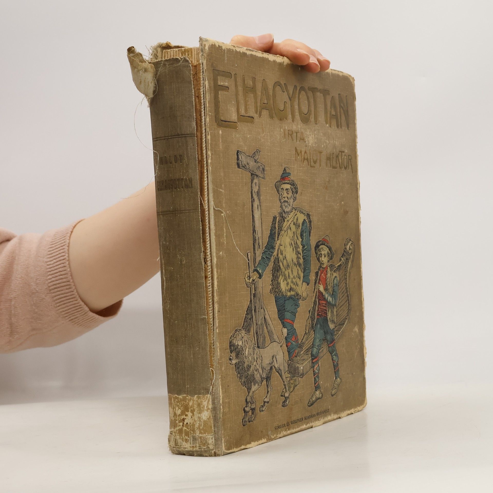 Hector Malot Elhagyottan