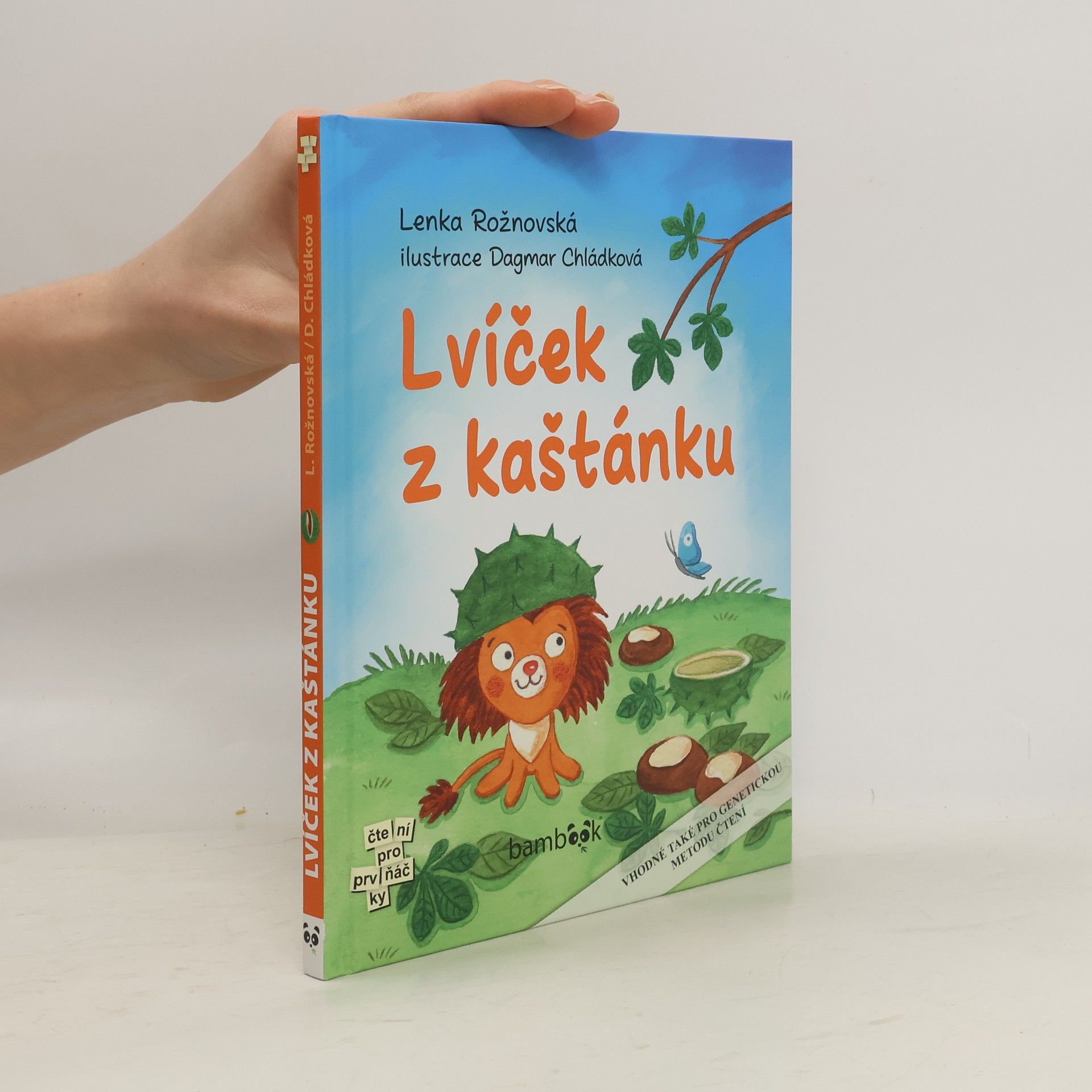 Lenka Rožnovská Lvíček z kaštánku