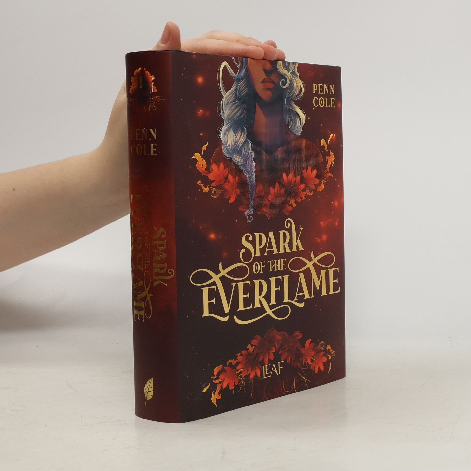 Penn Cole Spark of the Everflame / Kindred´s Curse Saga Bd.1