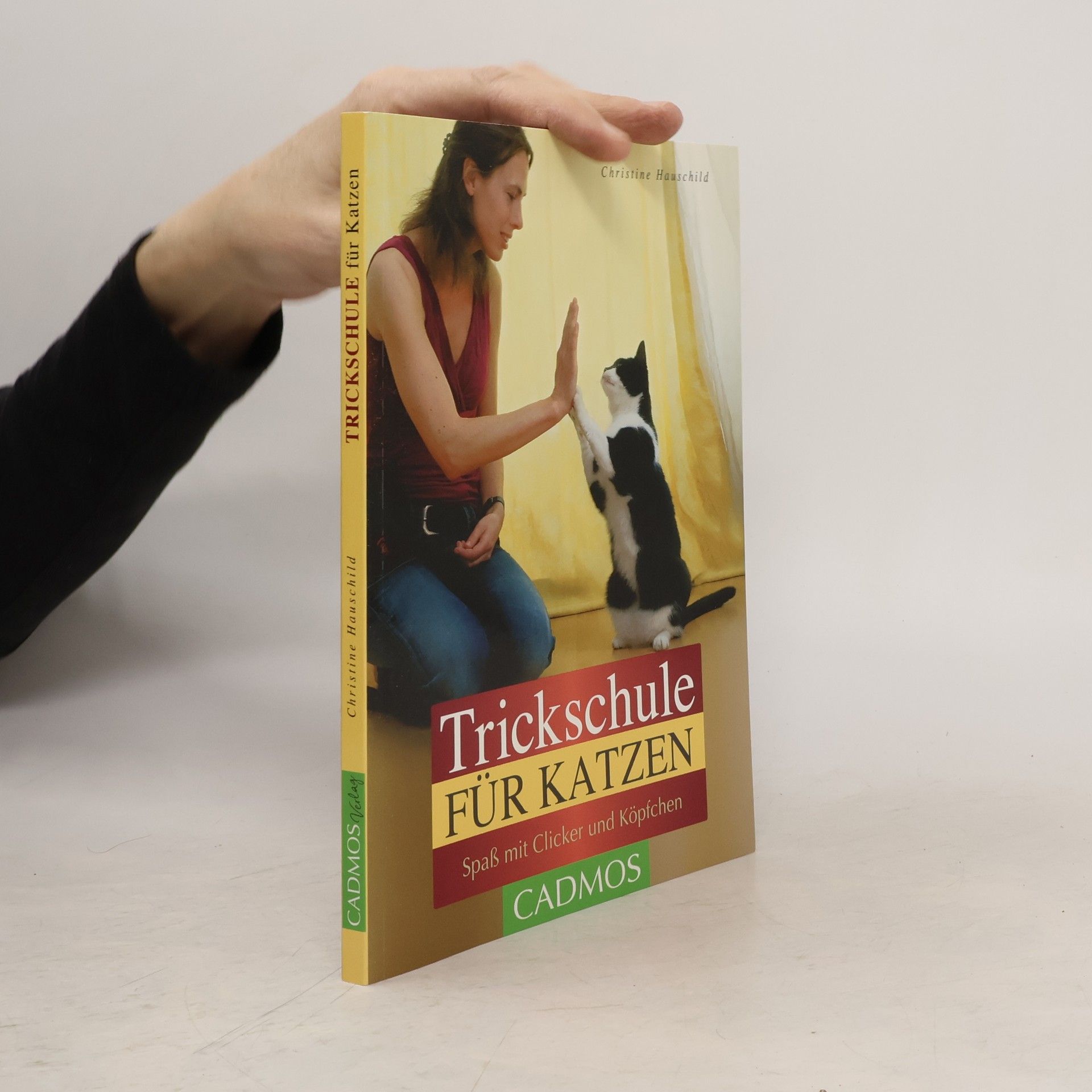 Trickschule für Katzen