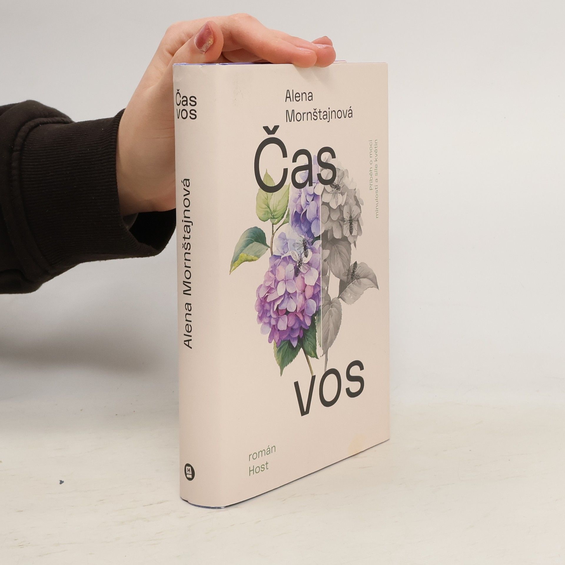 Alena Mornštajnová Čas vos