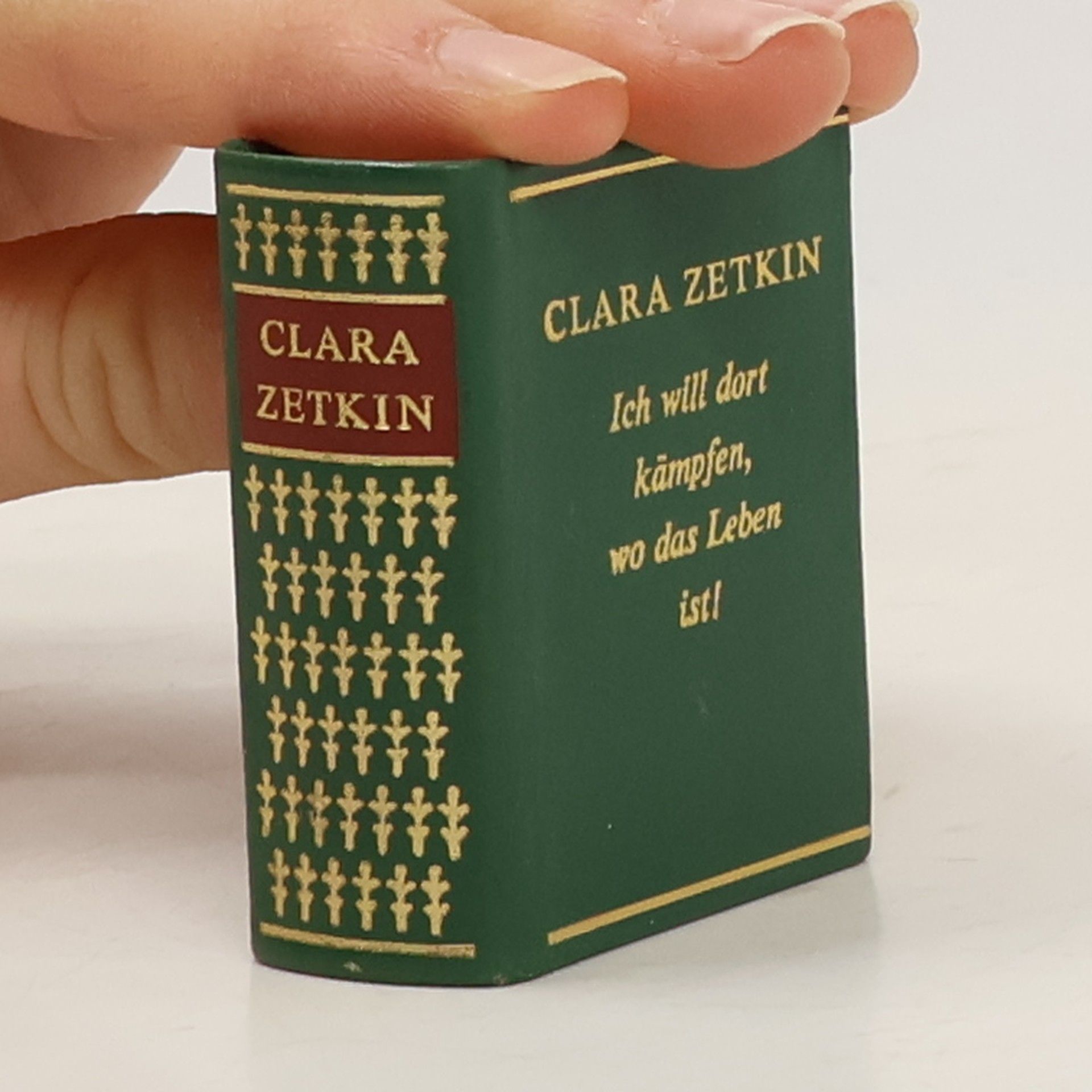 Clara Zetkinová Ich will dort kämpfen wo das Leben ist