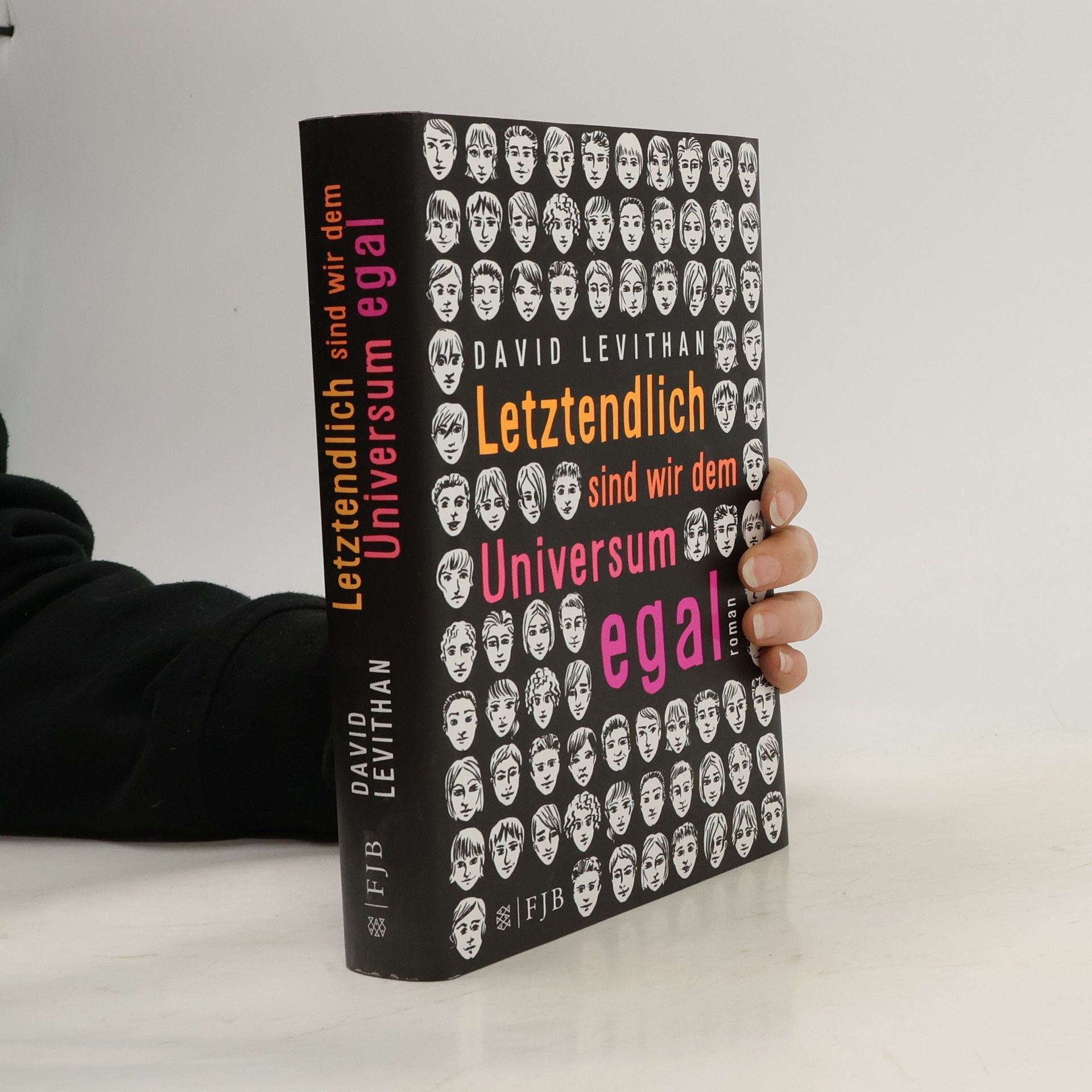 David Levithan Letztendlich sind wir dem Universum egal