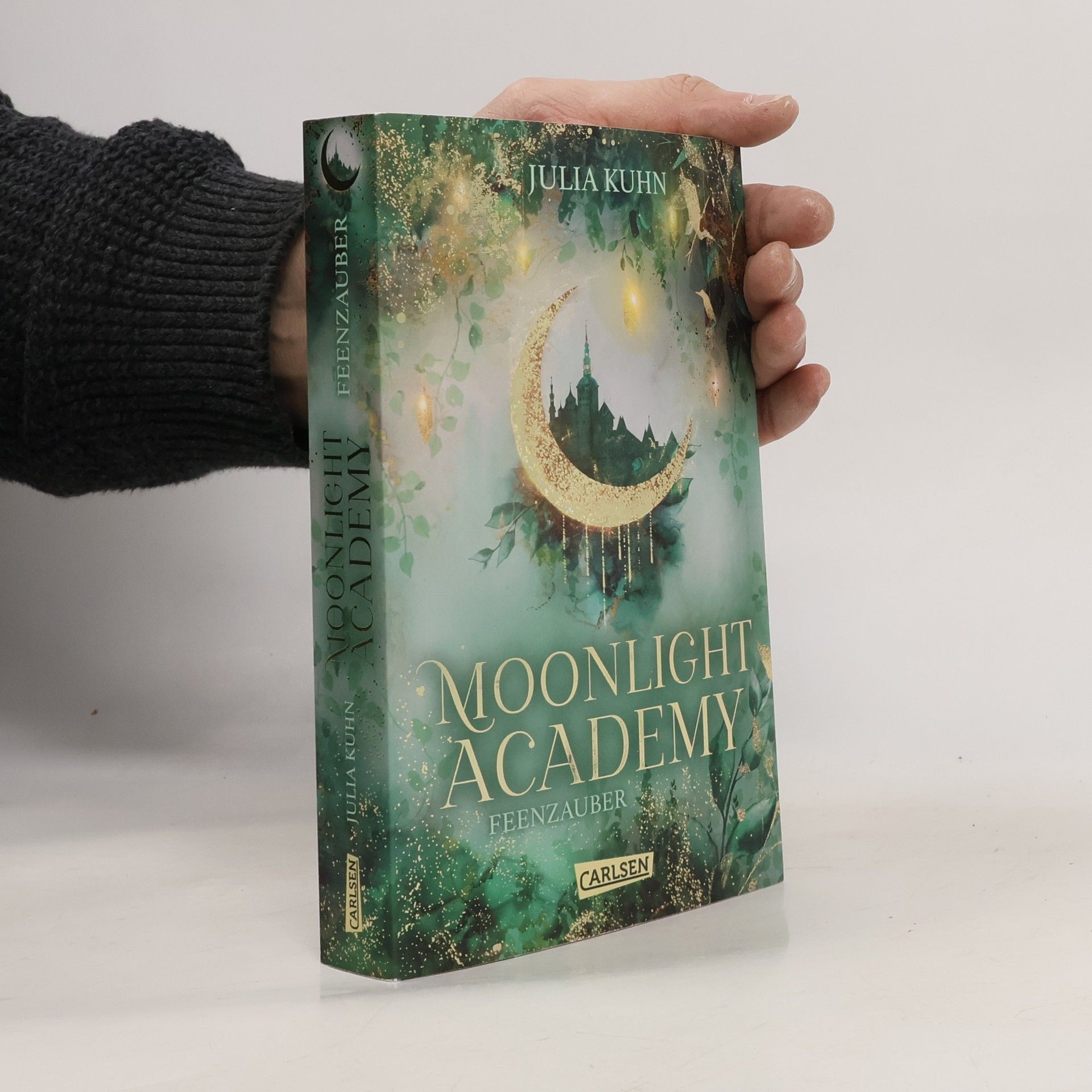 Julia Kuhn Moonlight Academy. Feenzauber