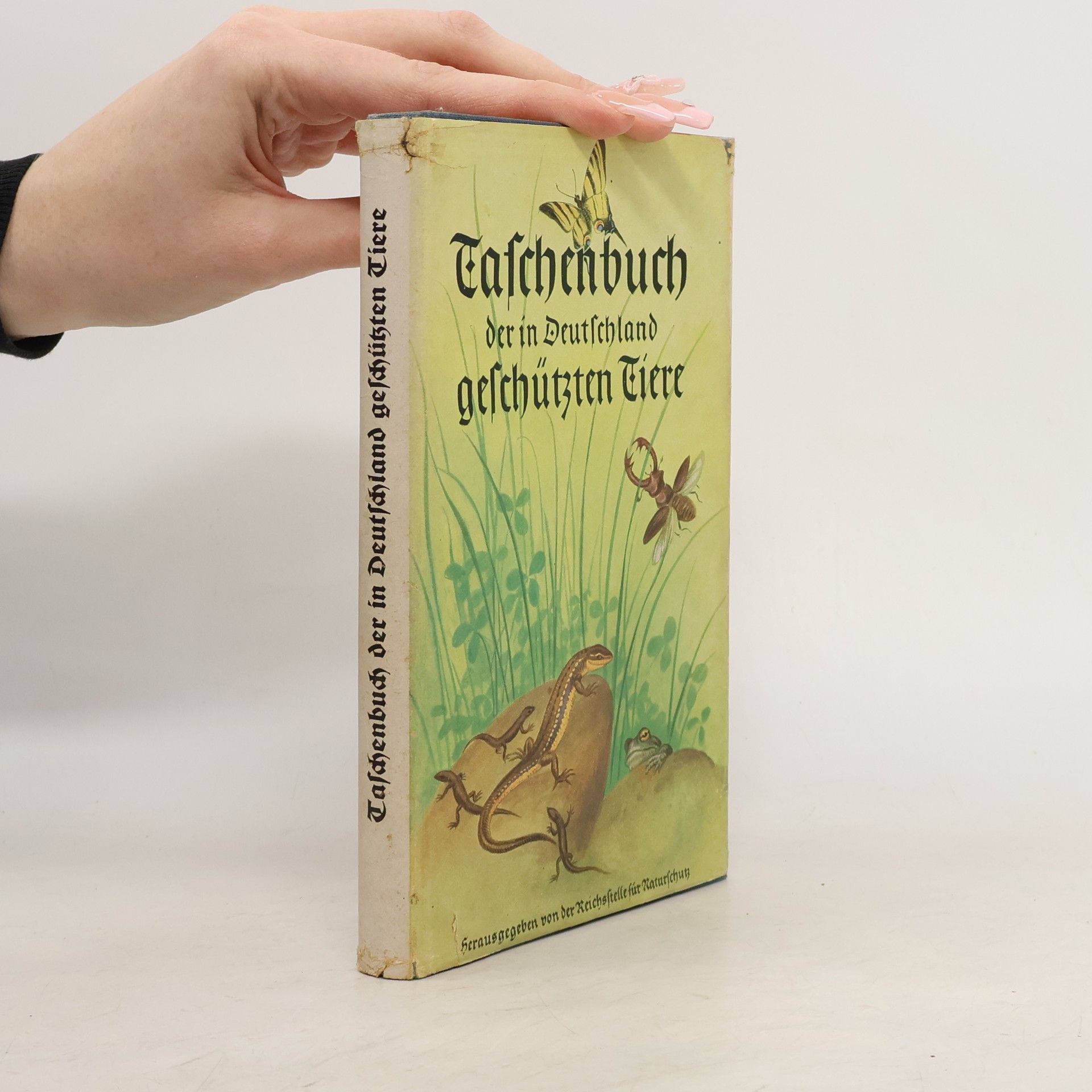 Walther Schoenichen Taschenbuch der in Deutschland geschützten Tiere