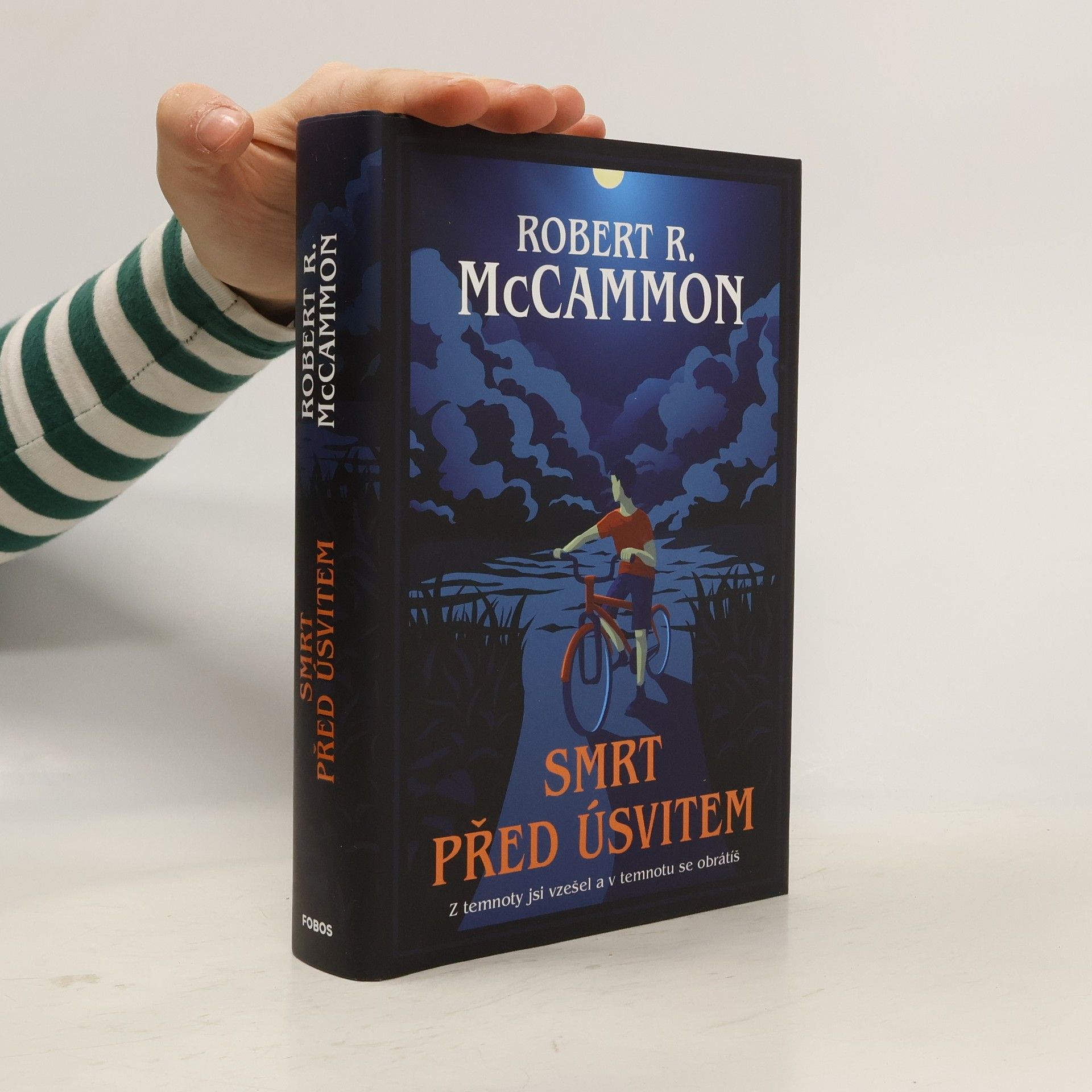 Robert McCammon Smrt před úsvitem