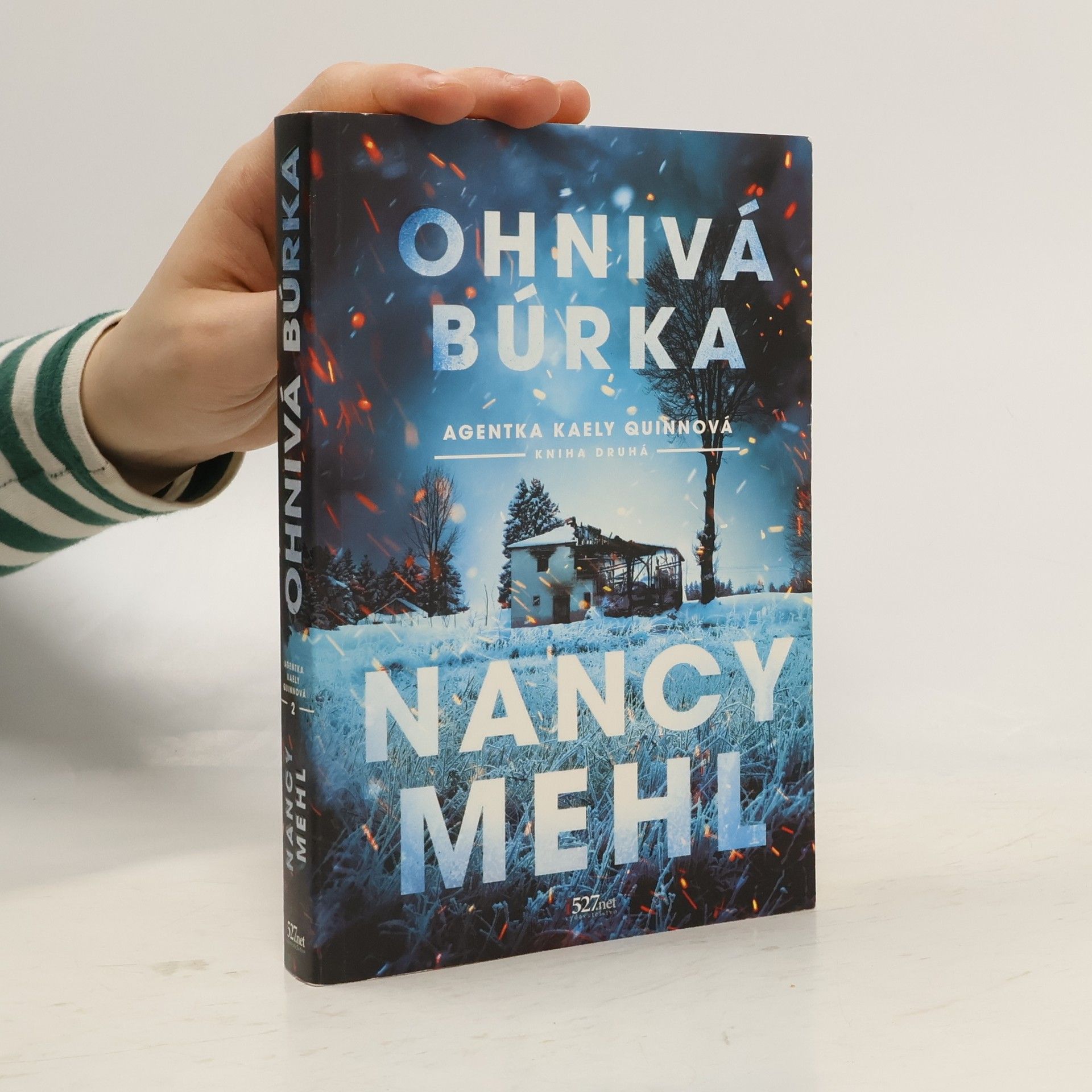 Nancy Mehl Ohnivá búrka