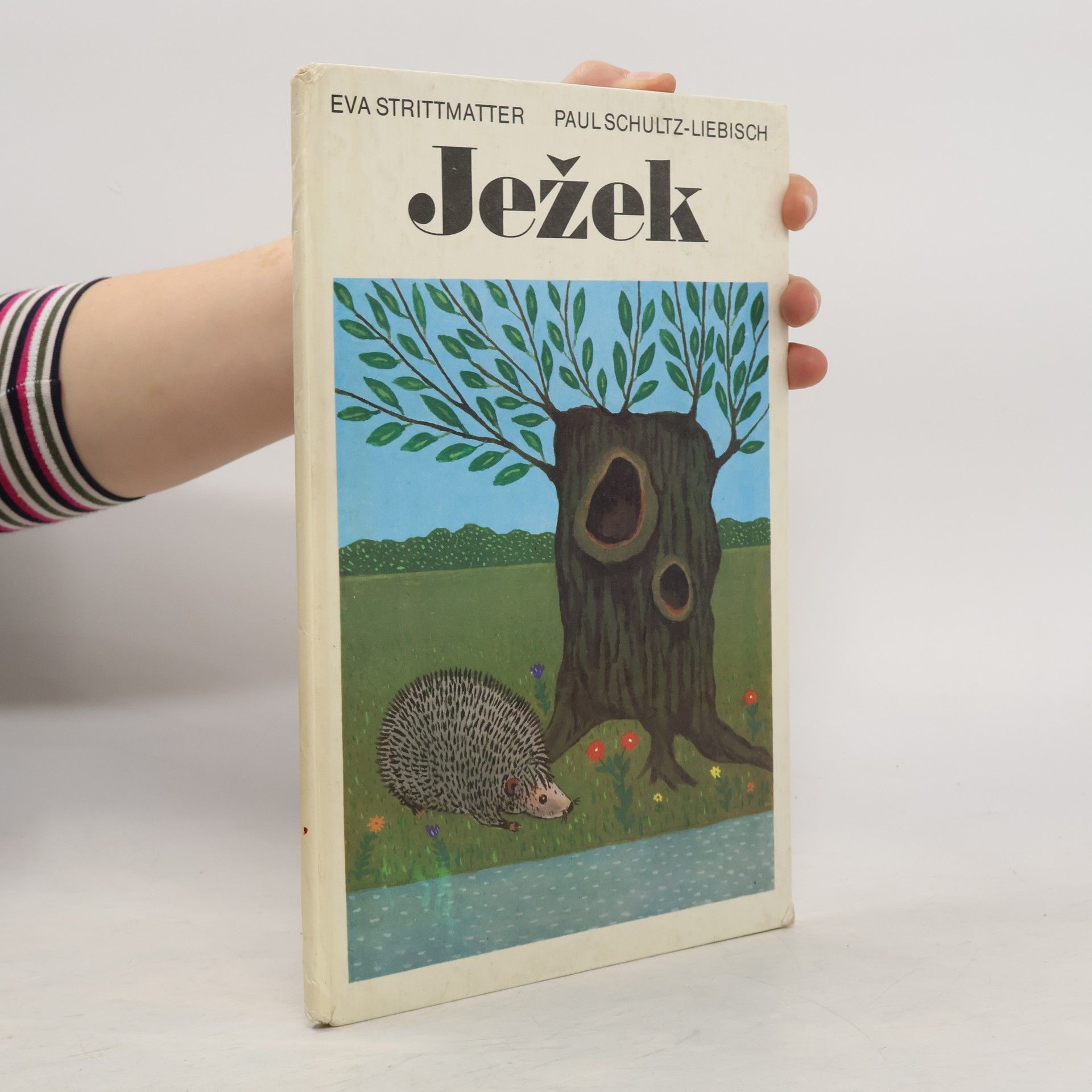 Eva Strittmatter Ježek