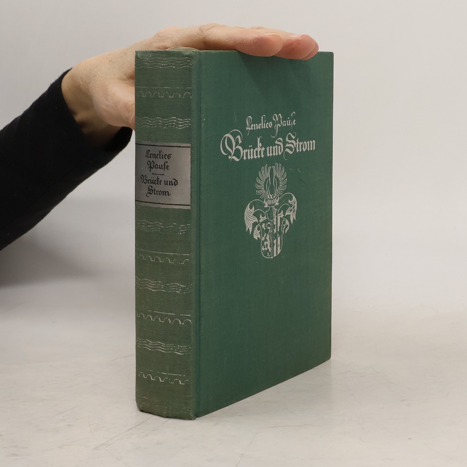 Lenelies Pause Brücke und Strom