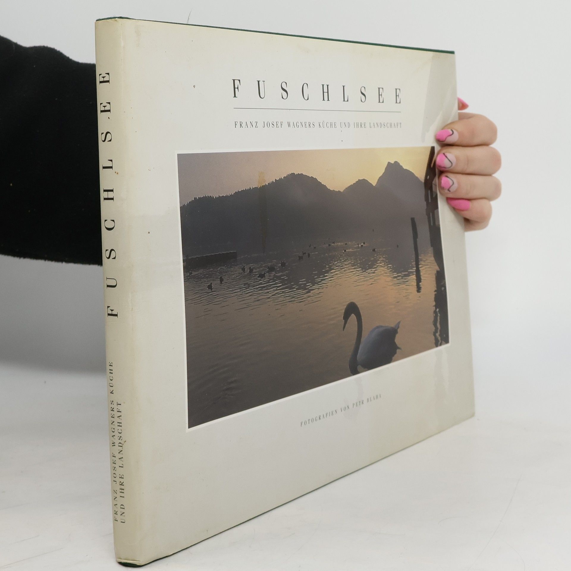 Franz Josef Wagner Fuschlsee
