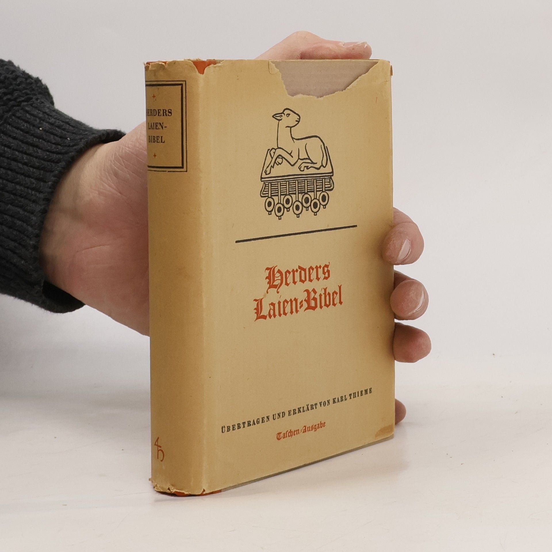 Herders Laien-Bibel