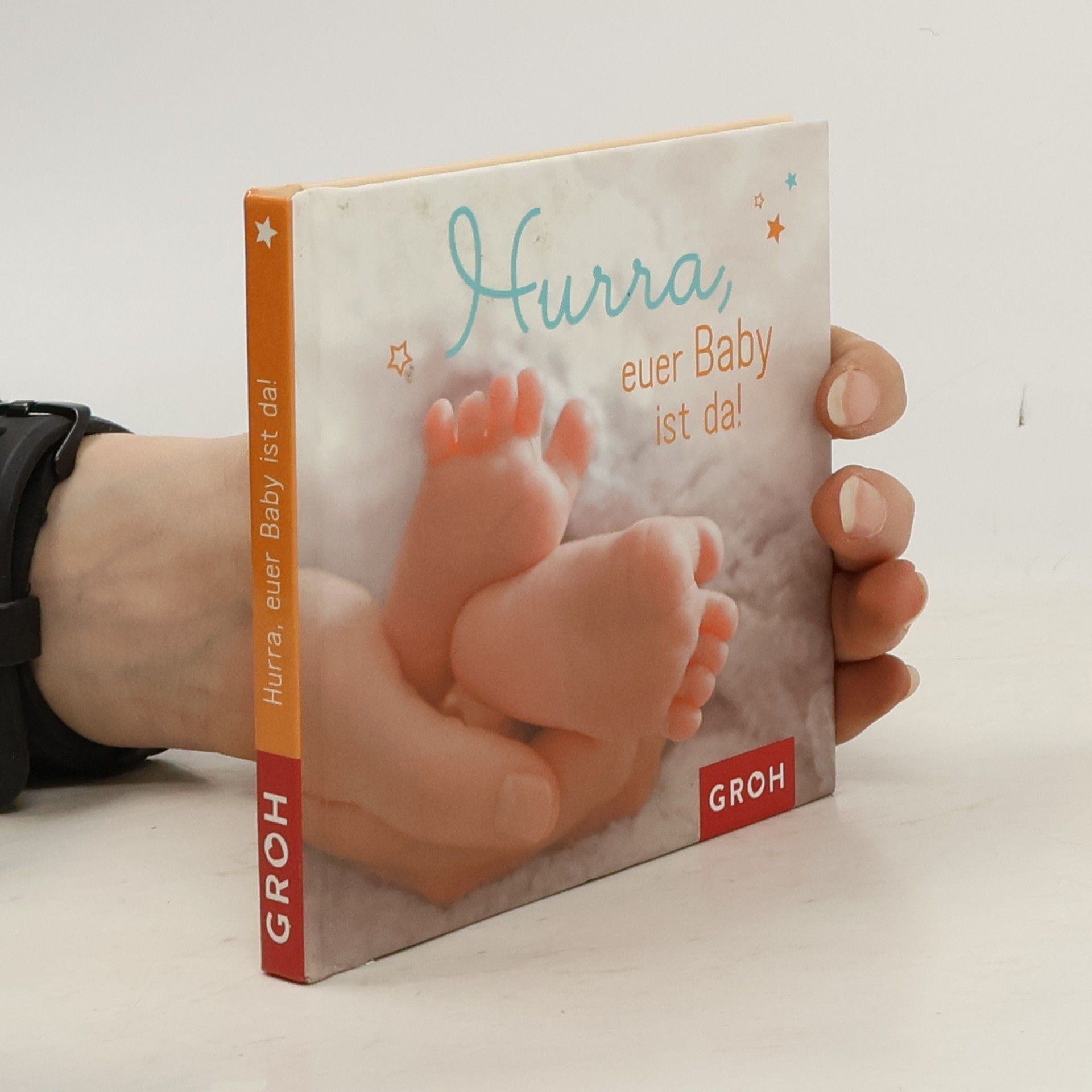 Dorothée Bleker Hurra, euer Baby ist da!