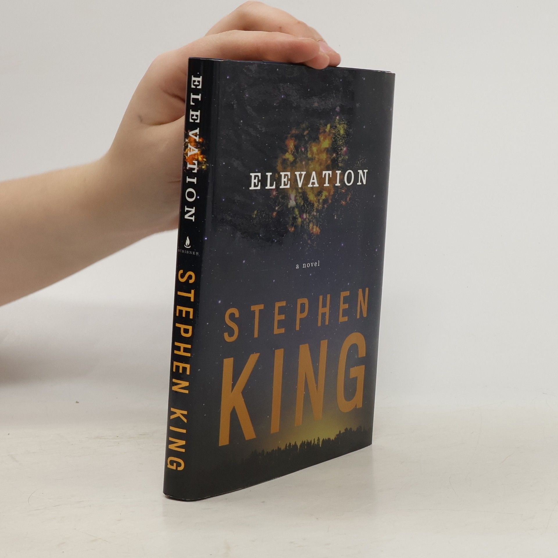 Stephen King Elevation
