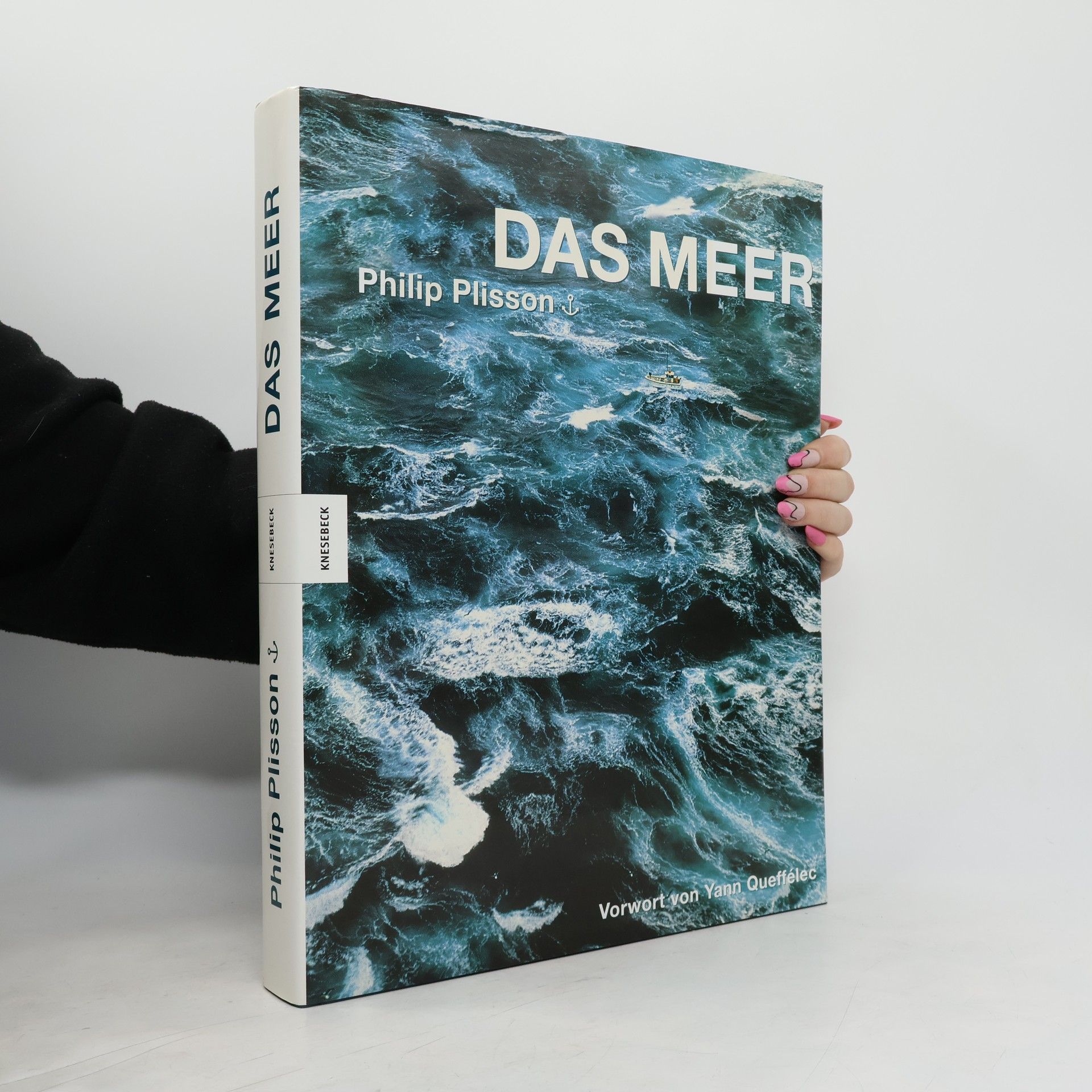 Philip Plisson Das Meer