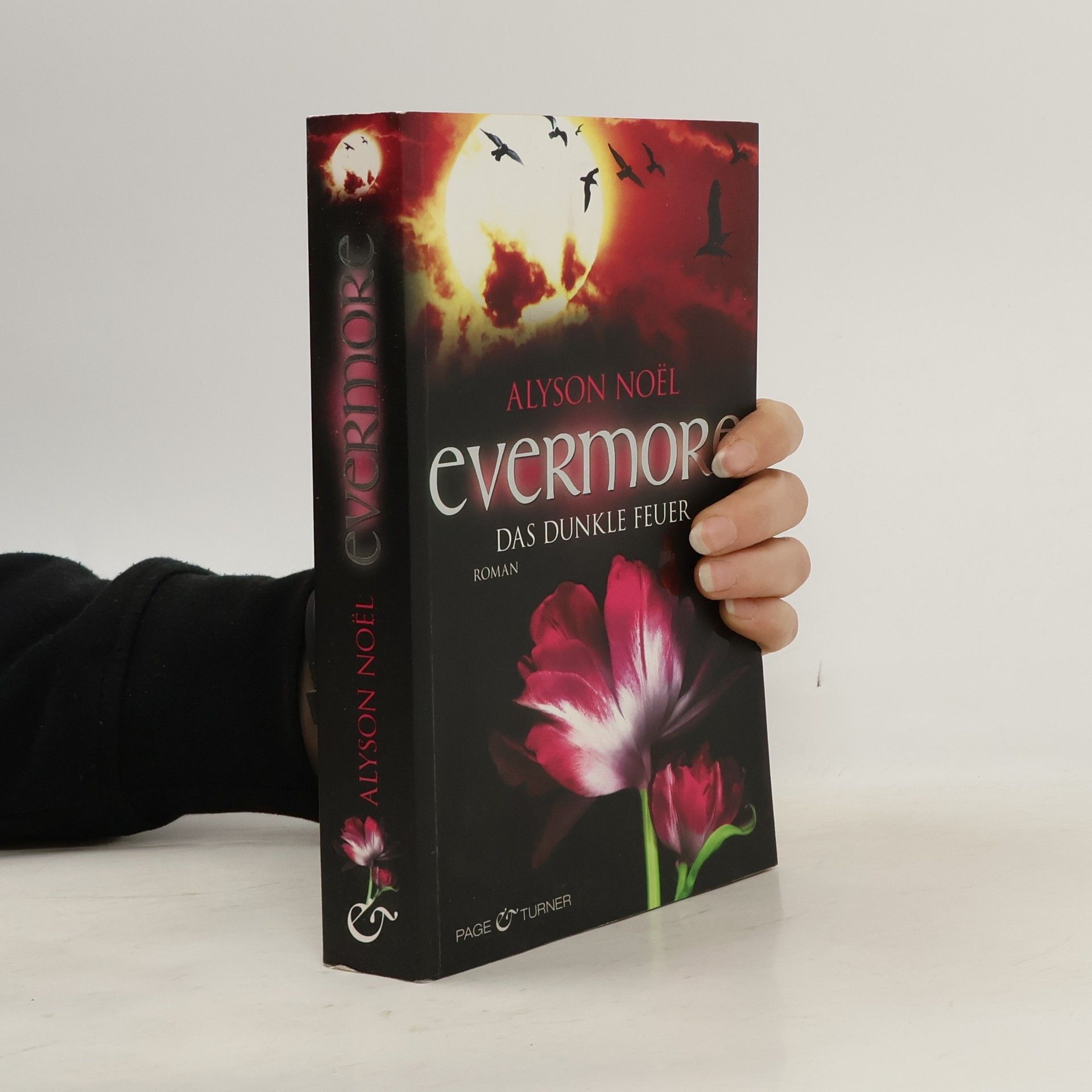 Alyson Noël Evermore: Das dunkle Feuer