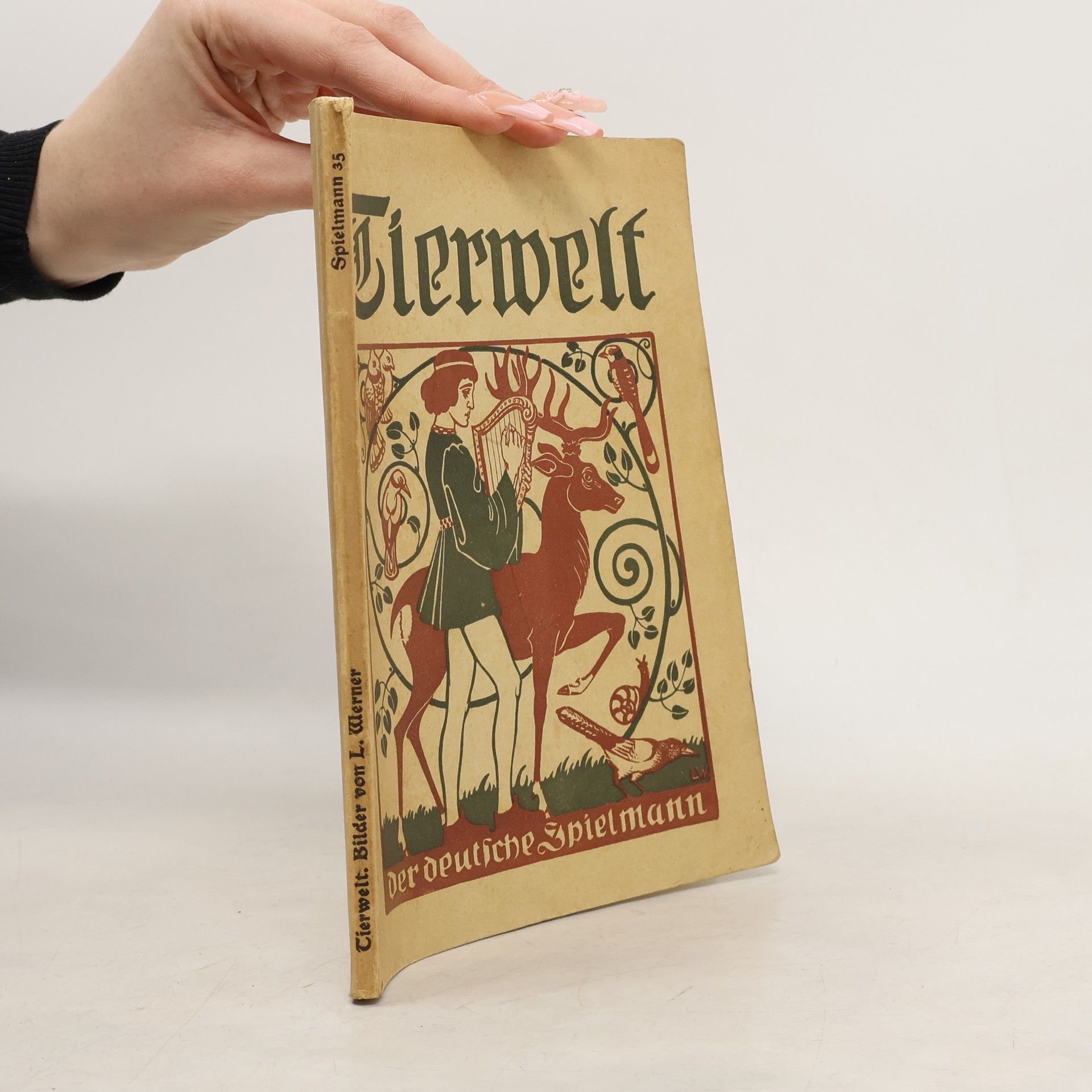 Autorenkollektiv Tierwelt