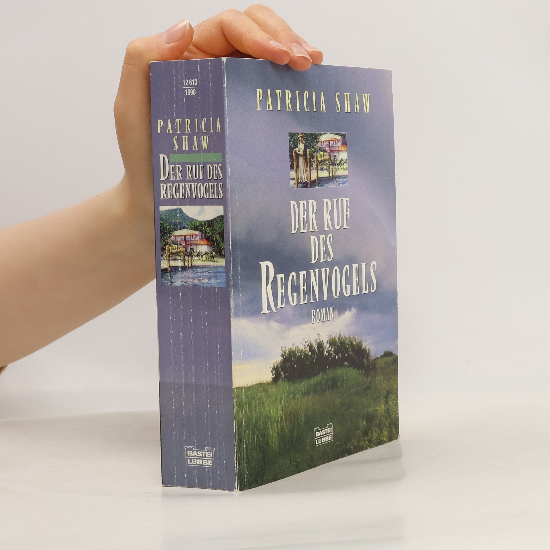 Patricia Shaw Der Ruf des Regenvogels