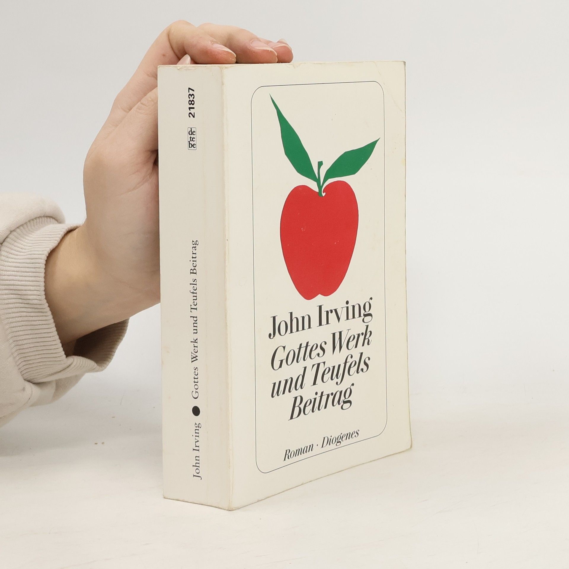 John Irving Gottes Werk und Teufels Beitrag