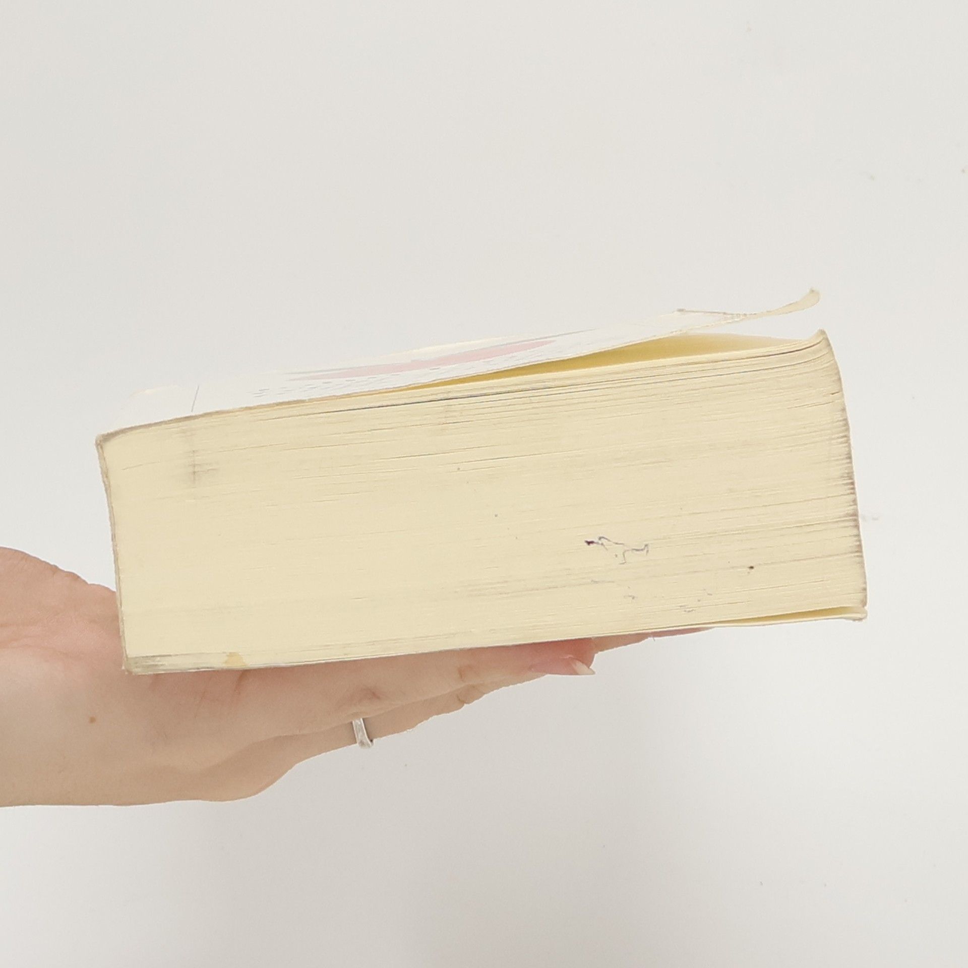 John Irving Gottes Werk und Teufels Beitrag
