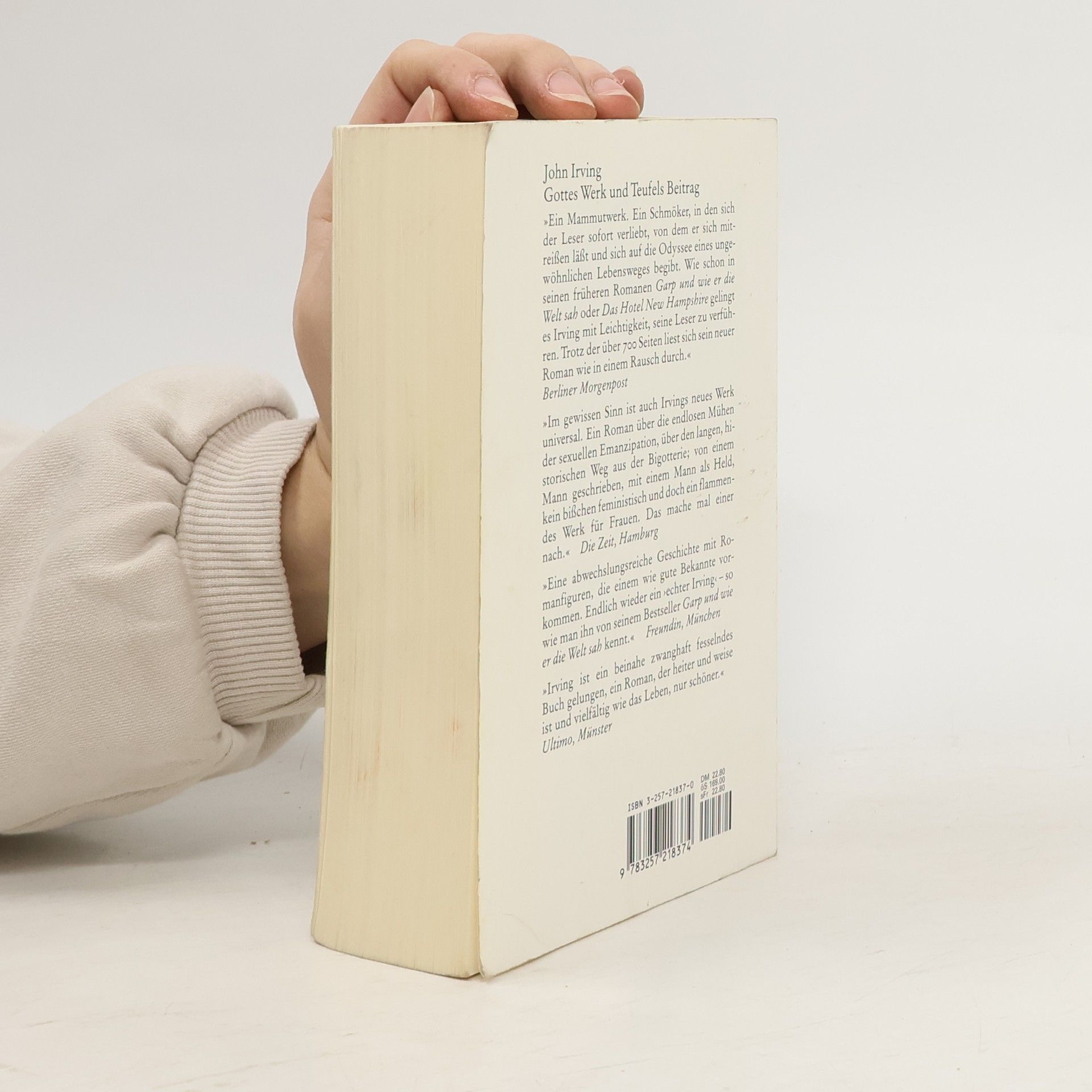 John Irving Gottes Werk und Teufels Beitrag