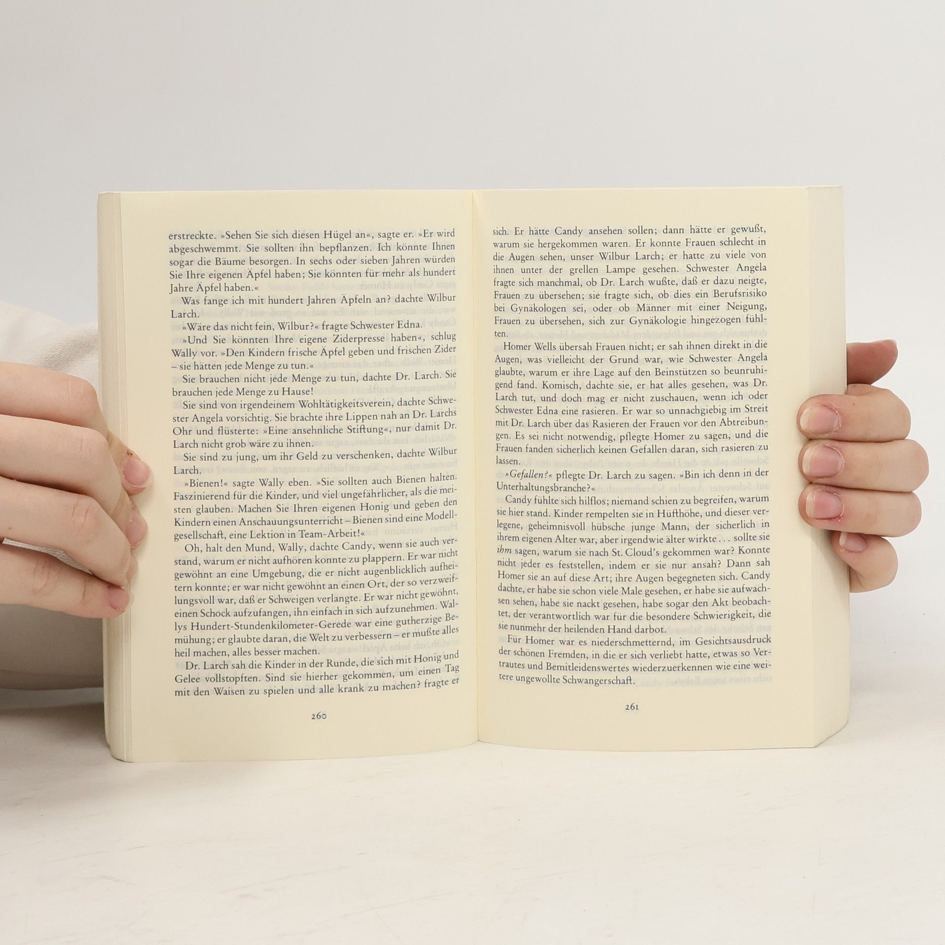 John Irving Gottes Werk und Teufels Beitrag