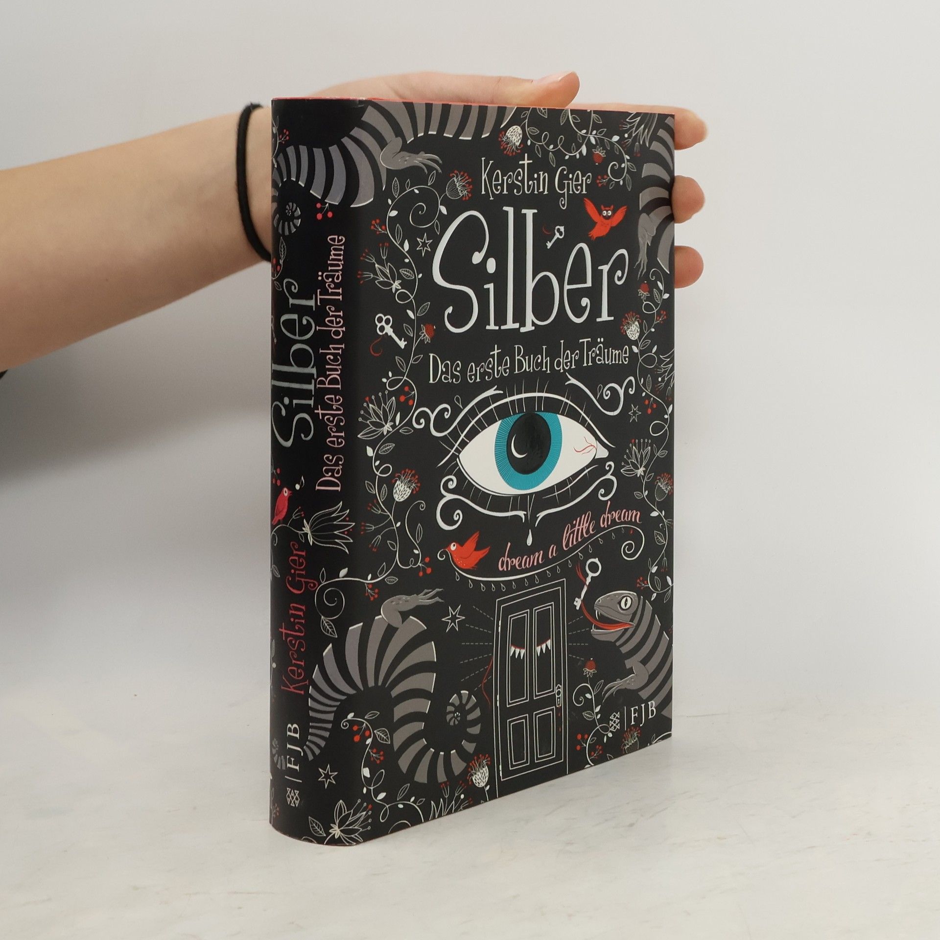 Kerstin Gier Silber. Das erste Buch der Träume