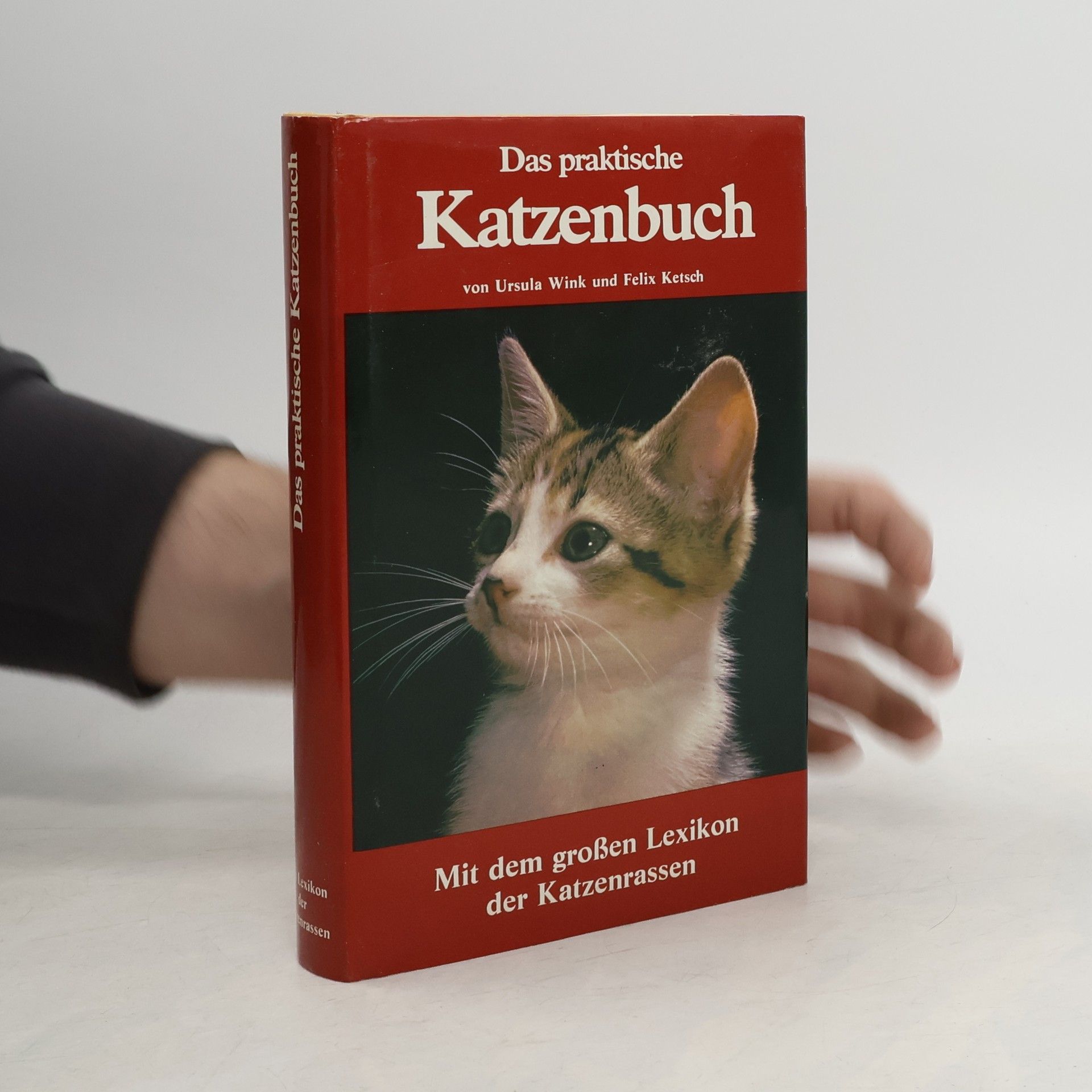 Ursula Wink Das praktische Katzenbuch