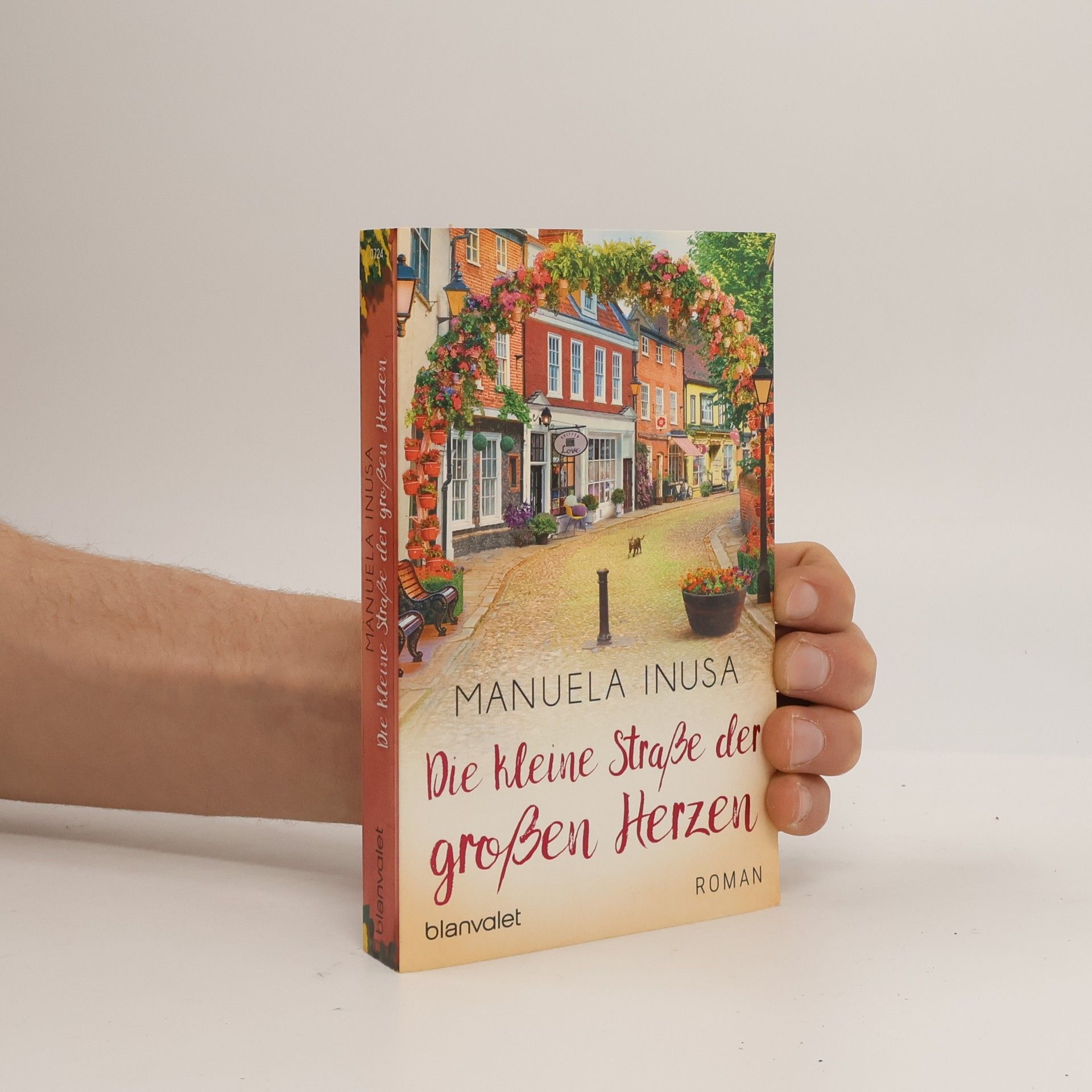 Manuela Inusa Die kleine Straße der großen Herzen