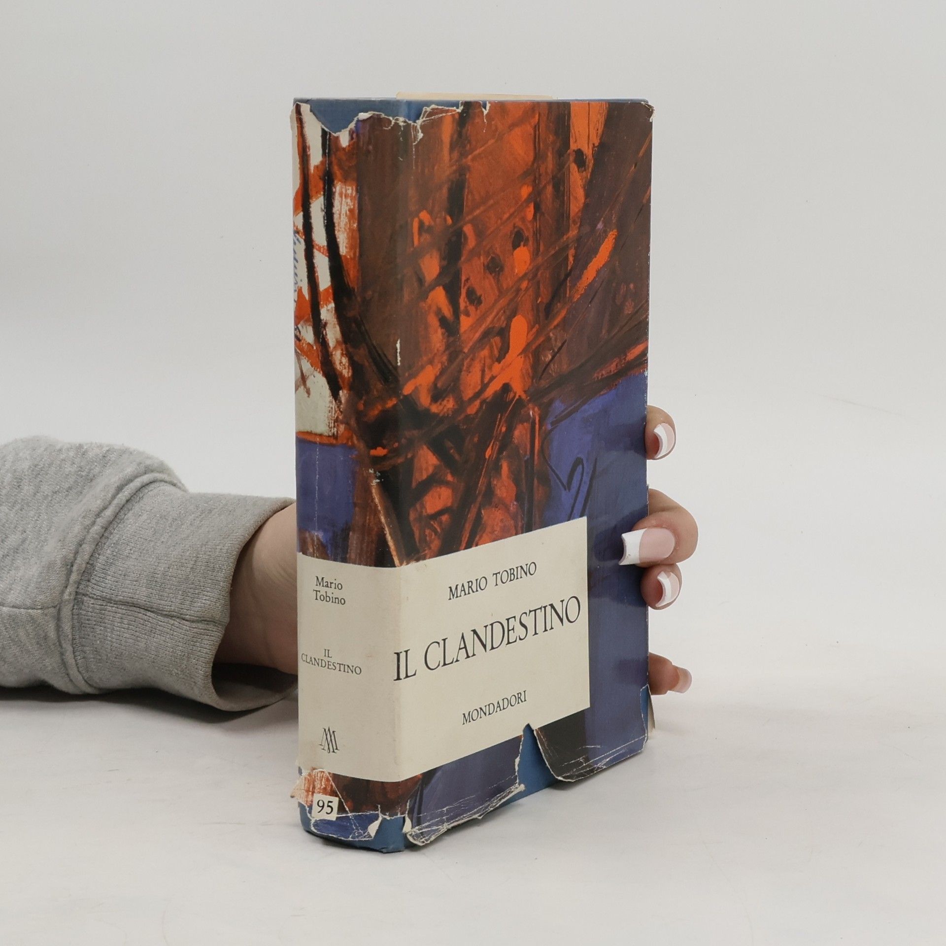 Mario Tobino Il Clandestino